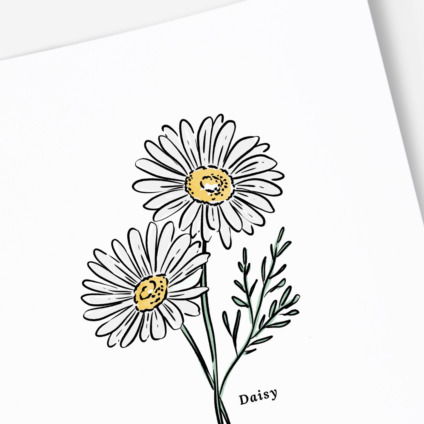 Daisy Illustration | Unframed Art Print Watercolor Sketched Drawing Floral Accent Wall Decor