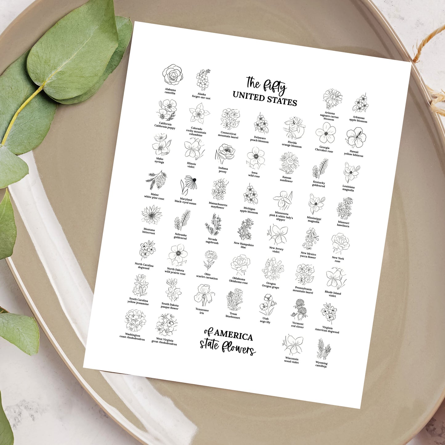 US State Flower Chart Unframed Poster Print | United States of America 50 States | 3 Sizes | Black & White Floral Line Art