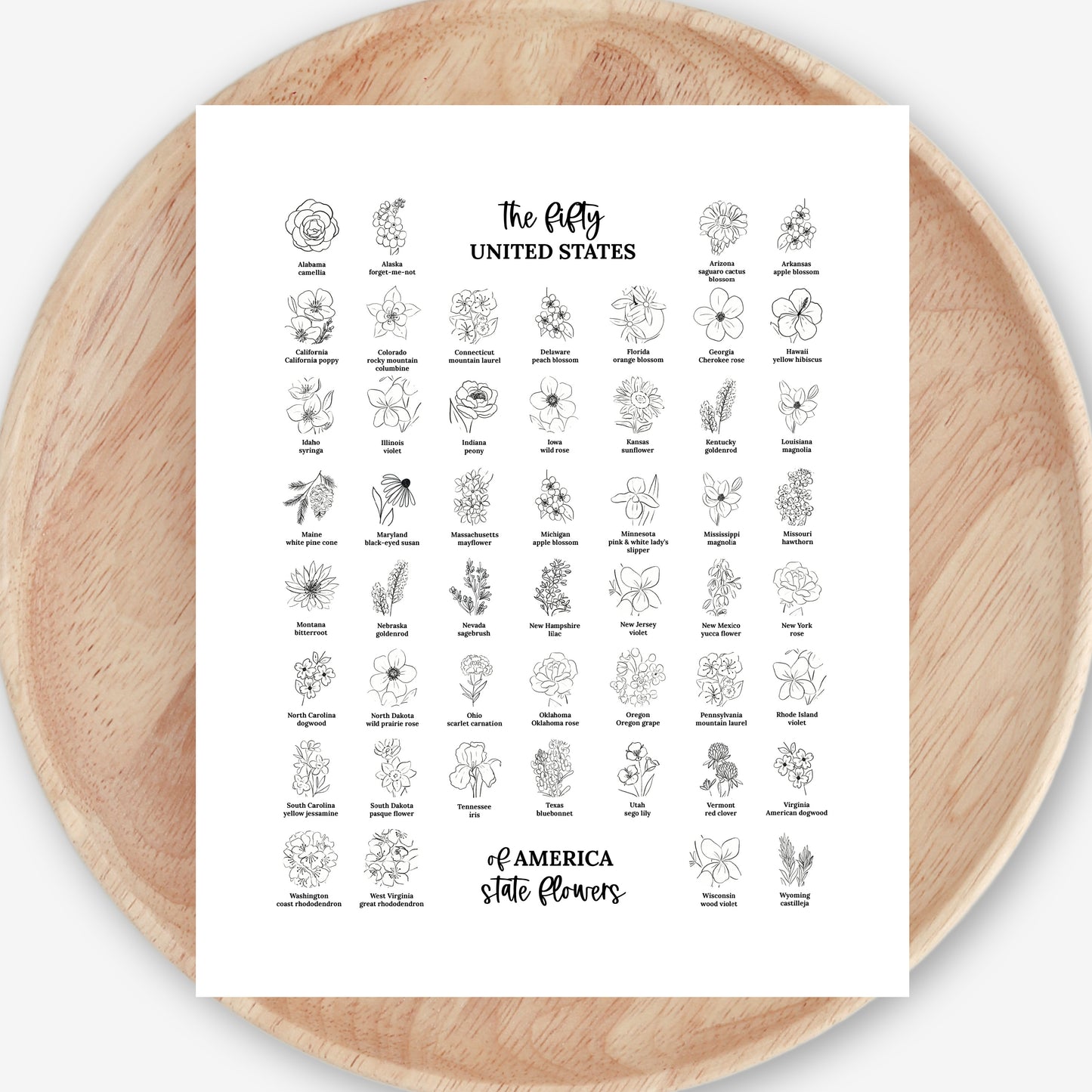 US State Flower Chart Unframed Poster Print | United States of America 50 States | 3 Sizes | Black & White Floral Line Art