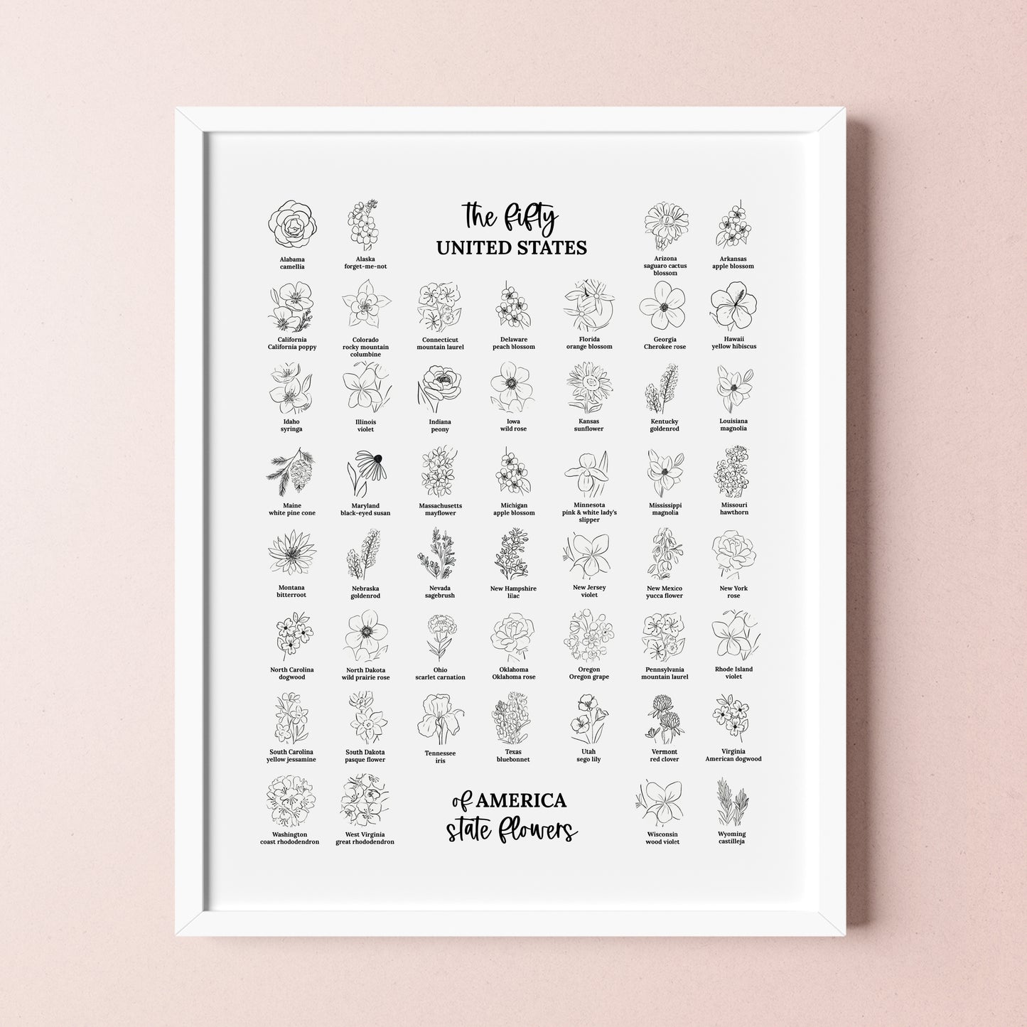 US State Flower Chart Unframed Poster Print | United States of America 50 States | 3 Sizes | Black & White Floral Line Art