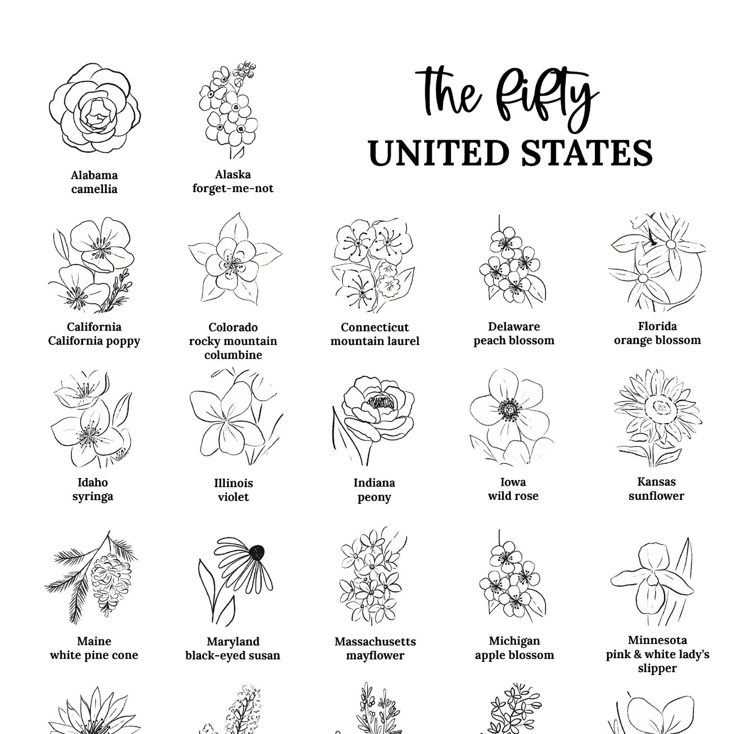 US State Flower Chart Unframed Poster Print | United States of America 50 States | 3 Sizes | Black & White Floral Line Art