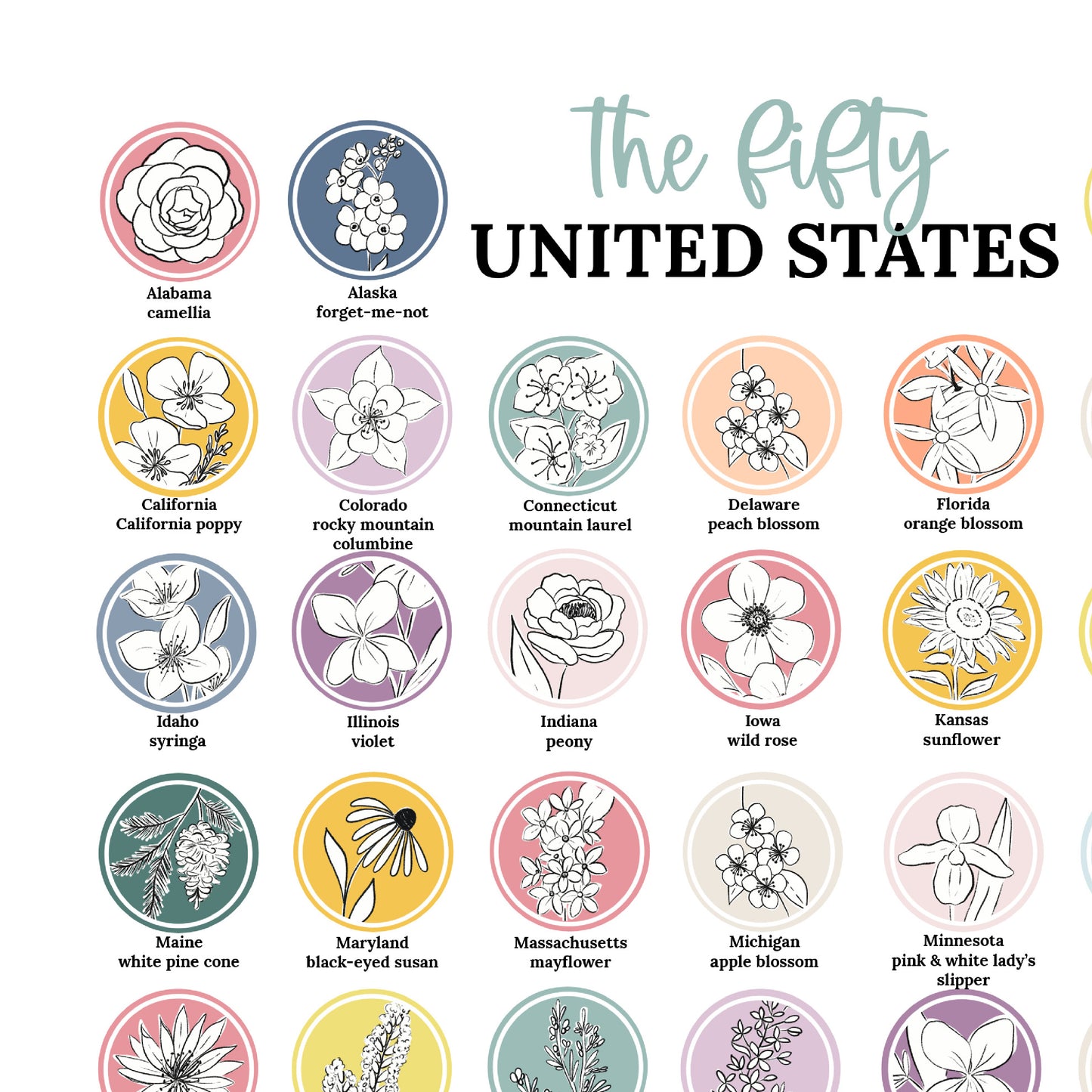 US State Flower Chart Unframed Poster Print | United States of America 50 States | 3 Sizes