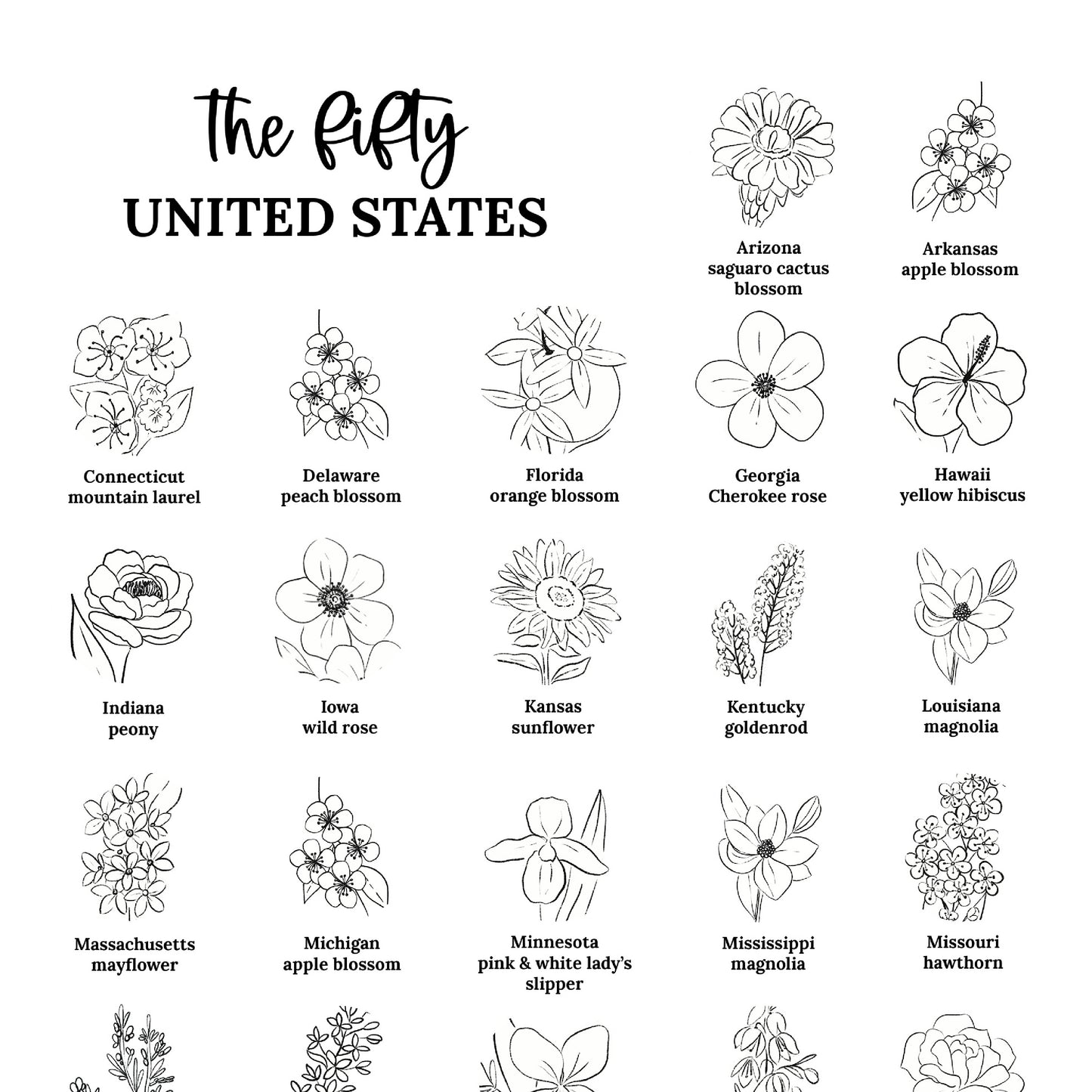 US State Flower Chart Unframed Poster Print | United States of America 50 States | 3 Sizes | Black & White Floral Line Art