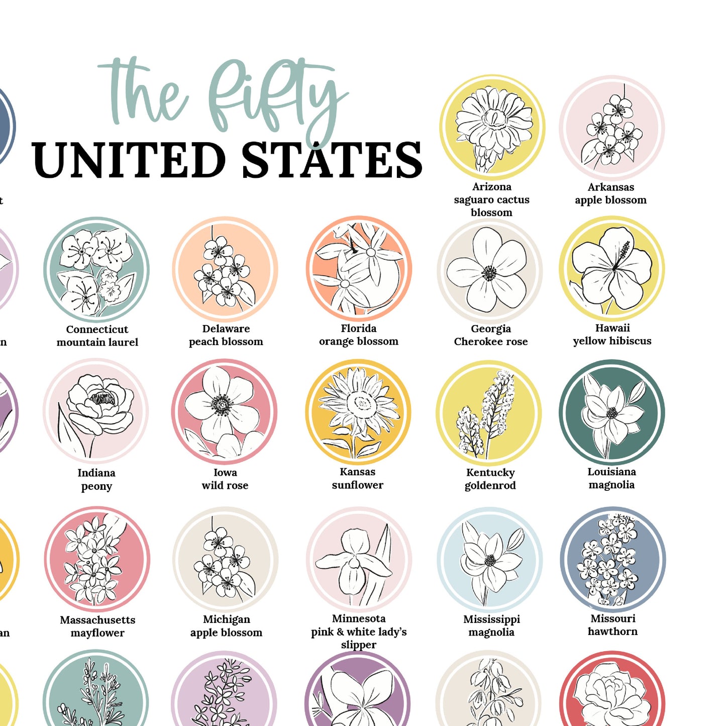 US State Flower Chart Unframed Poster Print | United States of America 50 States | 3 Sizes