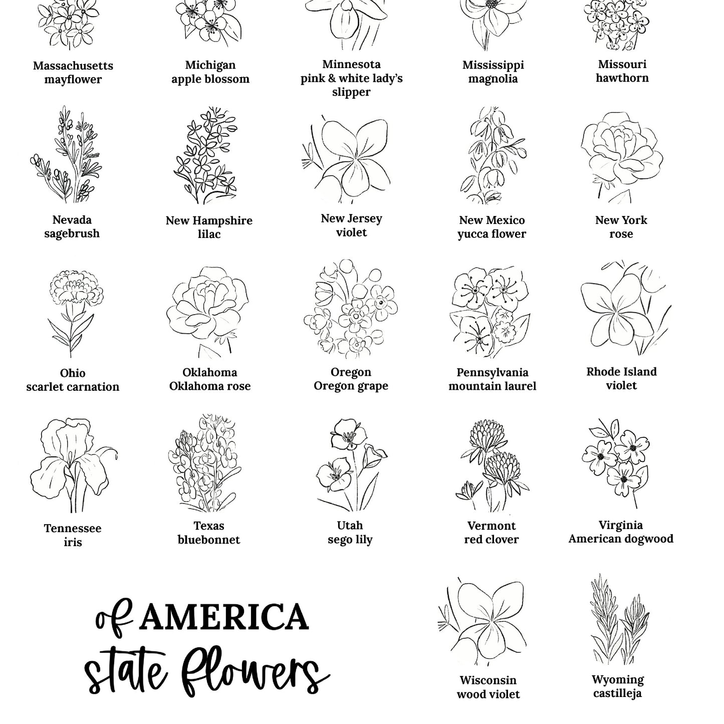US State Flower Chart Unframed Poster Print | United States of America 50 States | 3 Sizes | Black & White Floral Line Art