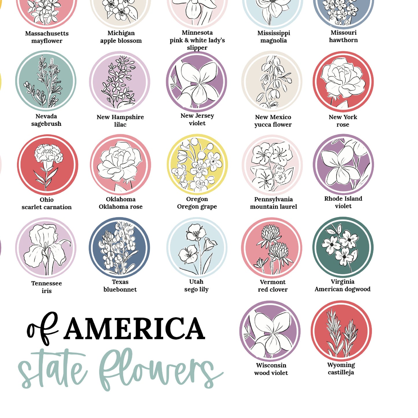 US State Flower Chart Unframed Poster Print | United States of America 50 States | 3 Sizes
