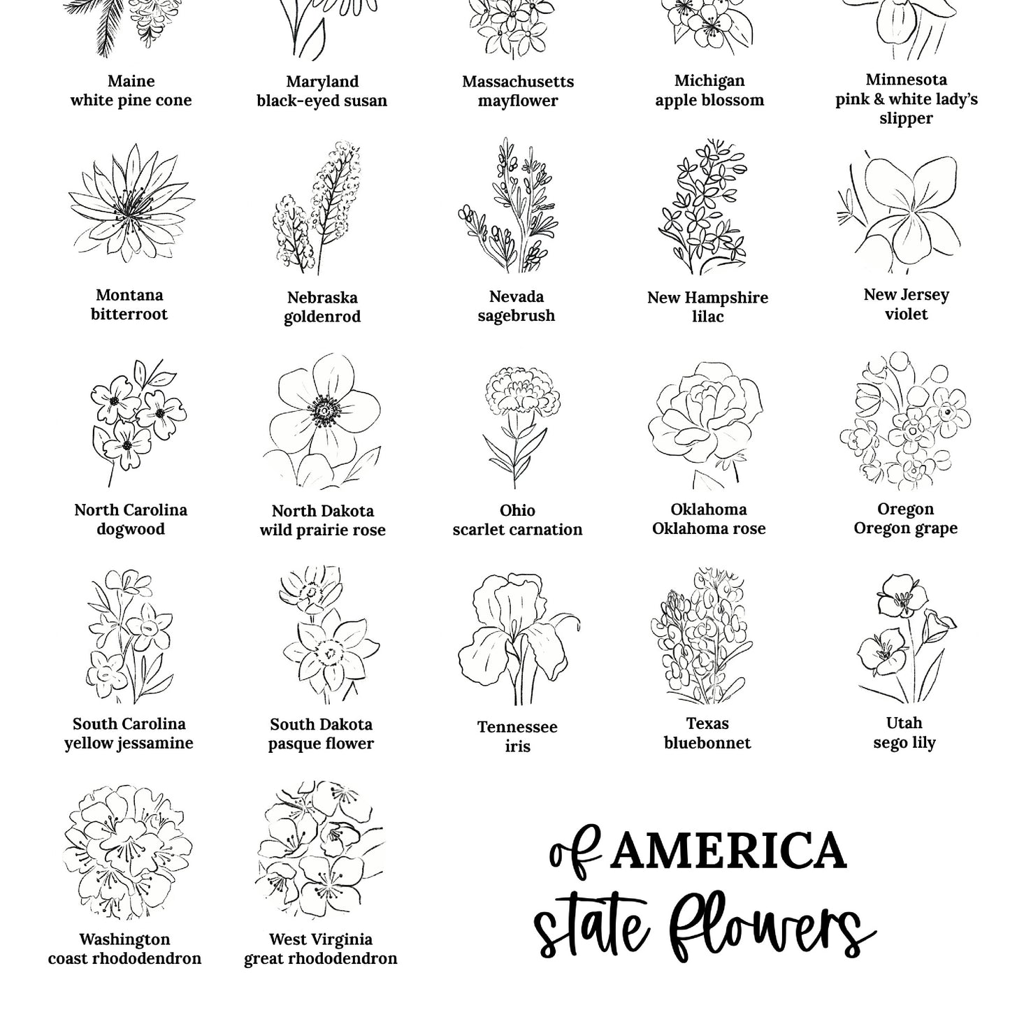 US State Flower Chart Unframed Poster Print | United States of America 50 States | 3 Sizes | Black & White Floral Line Art