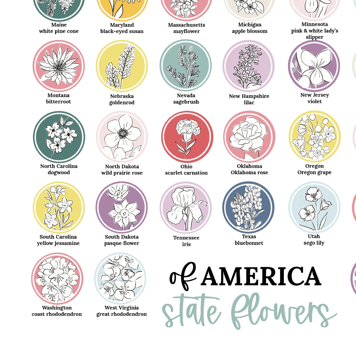 US State Flower Chart Unframed Poster Print | United States of America 50 States | 3 Sizes