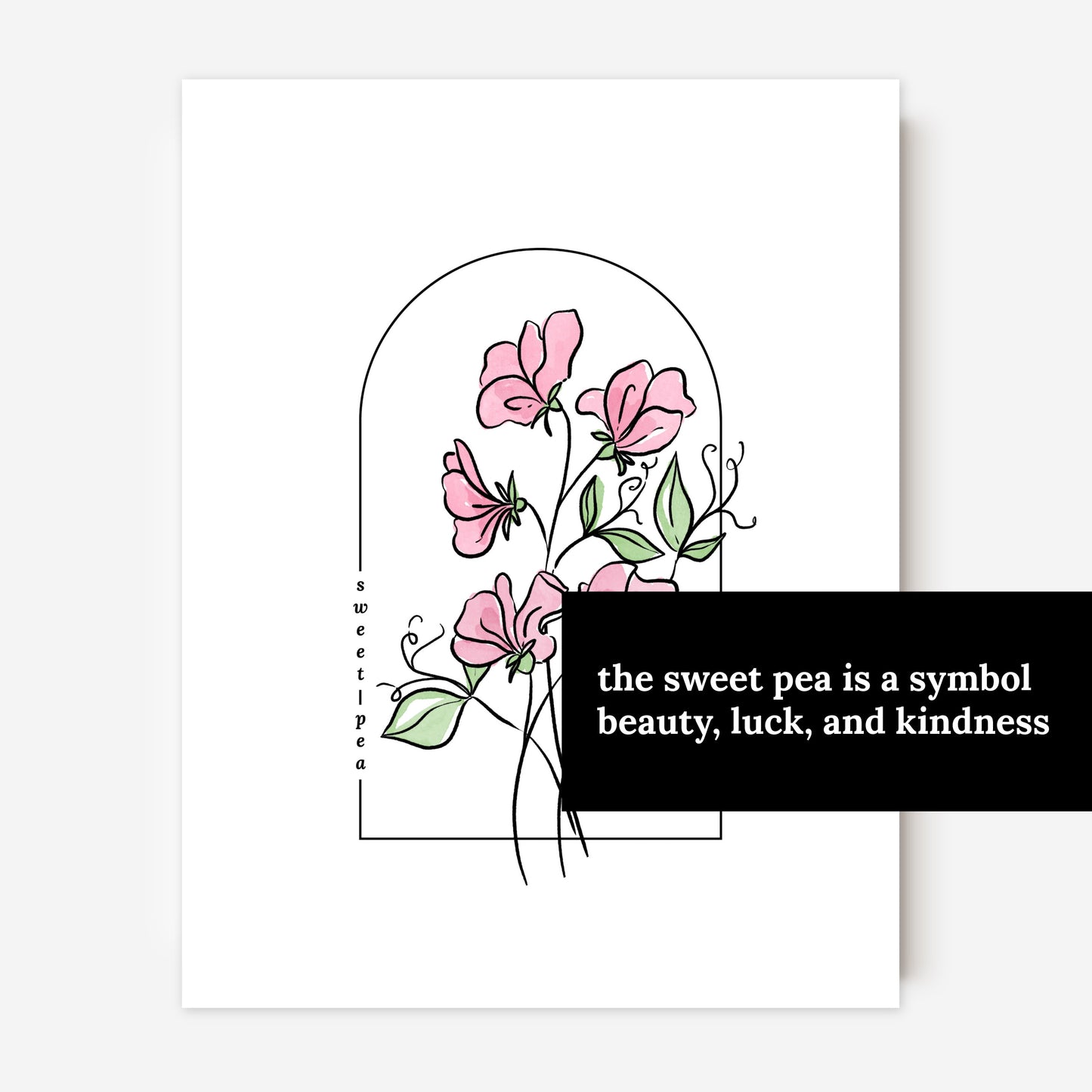 Sweet Pea Flower Illustration Unframed Art Print | Floral Wall Décor Garden Inspired Gift