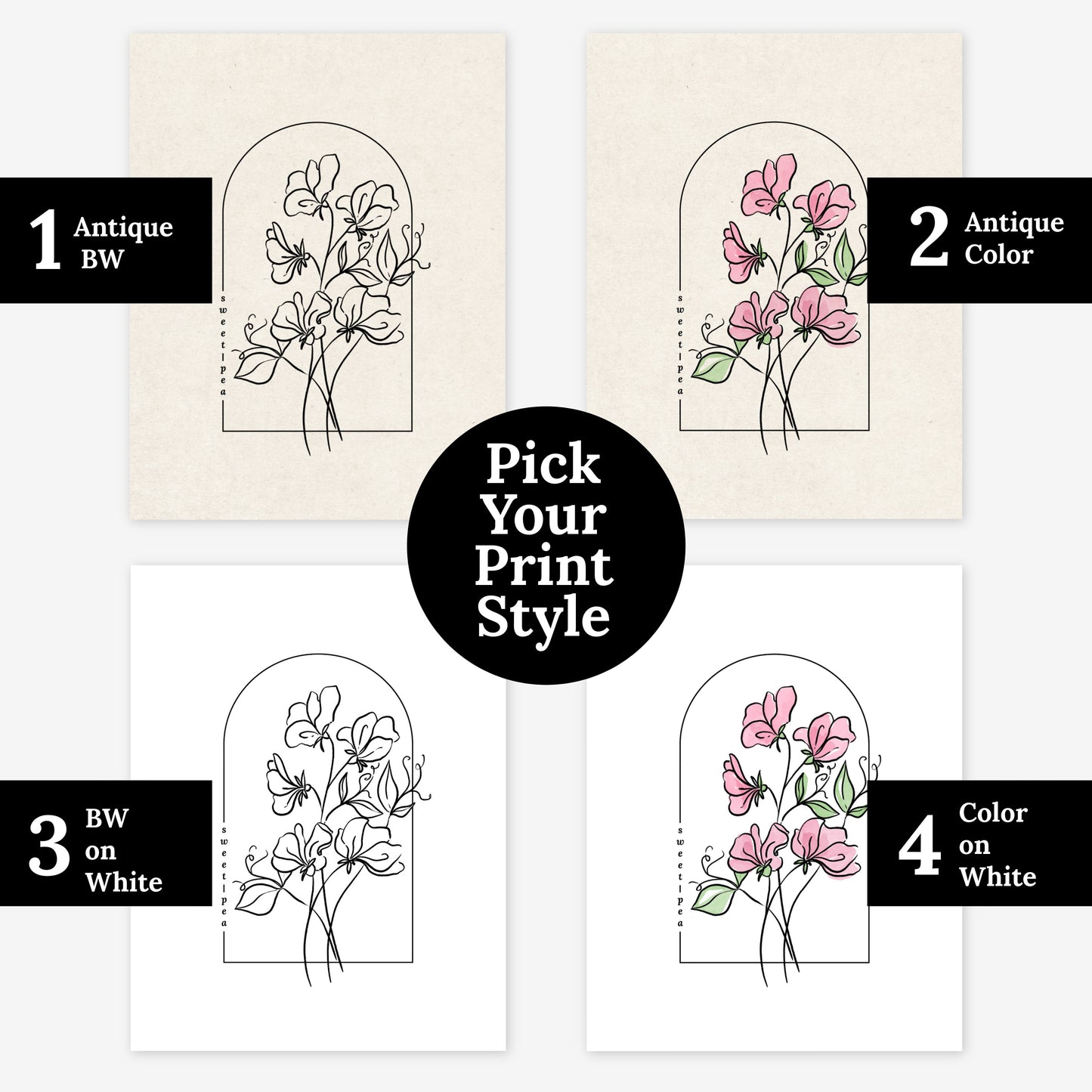 Sweet Pea Flower Illustration Unframed Art Print | Floral Wall Décor Garden Inspired Gift