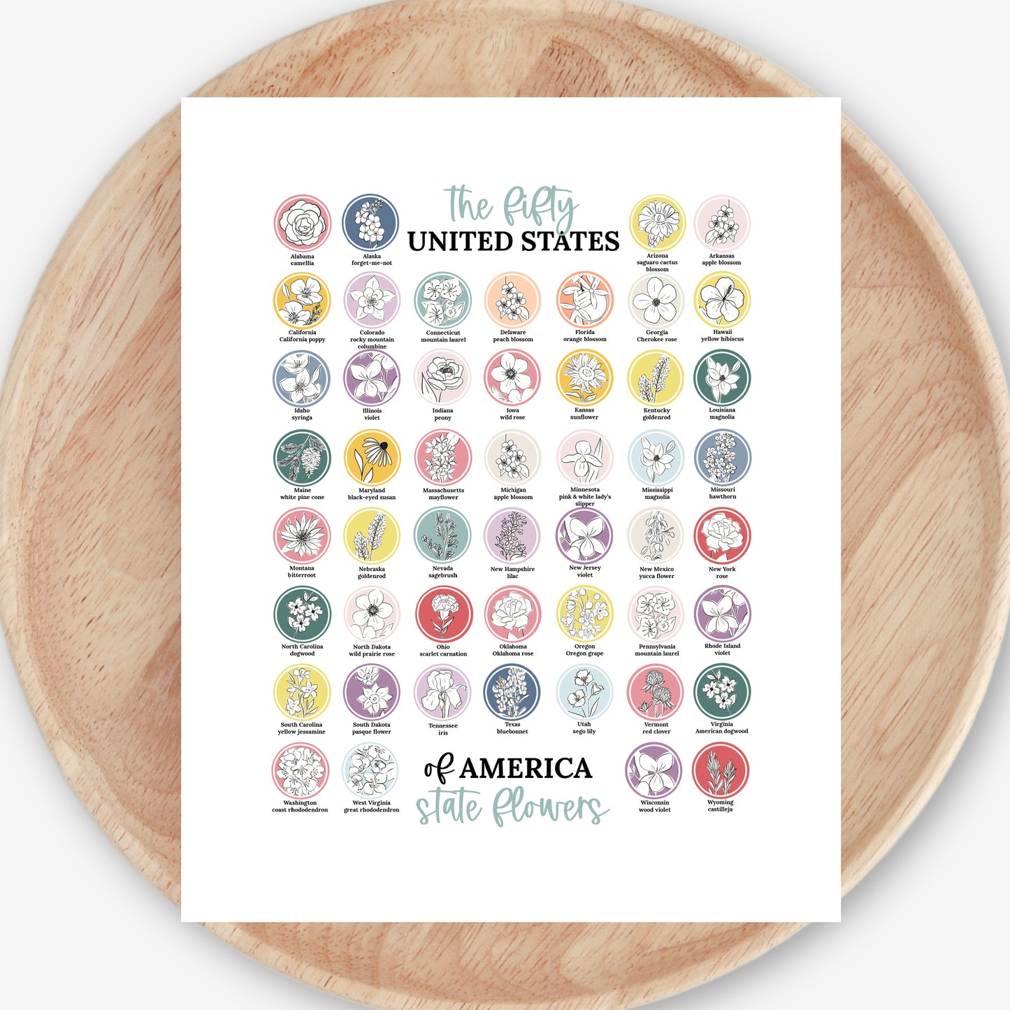 US State Flower Chart Unframed Poster Print | United States of America 50 States | 3 Sizes