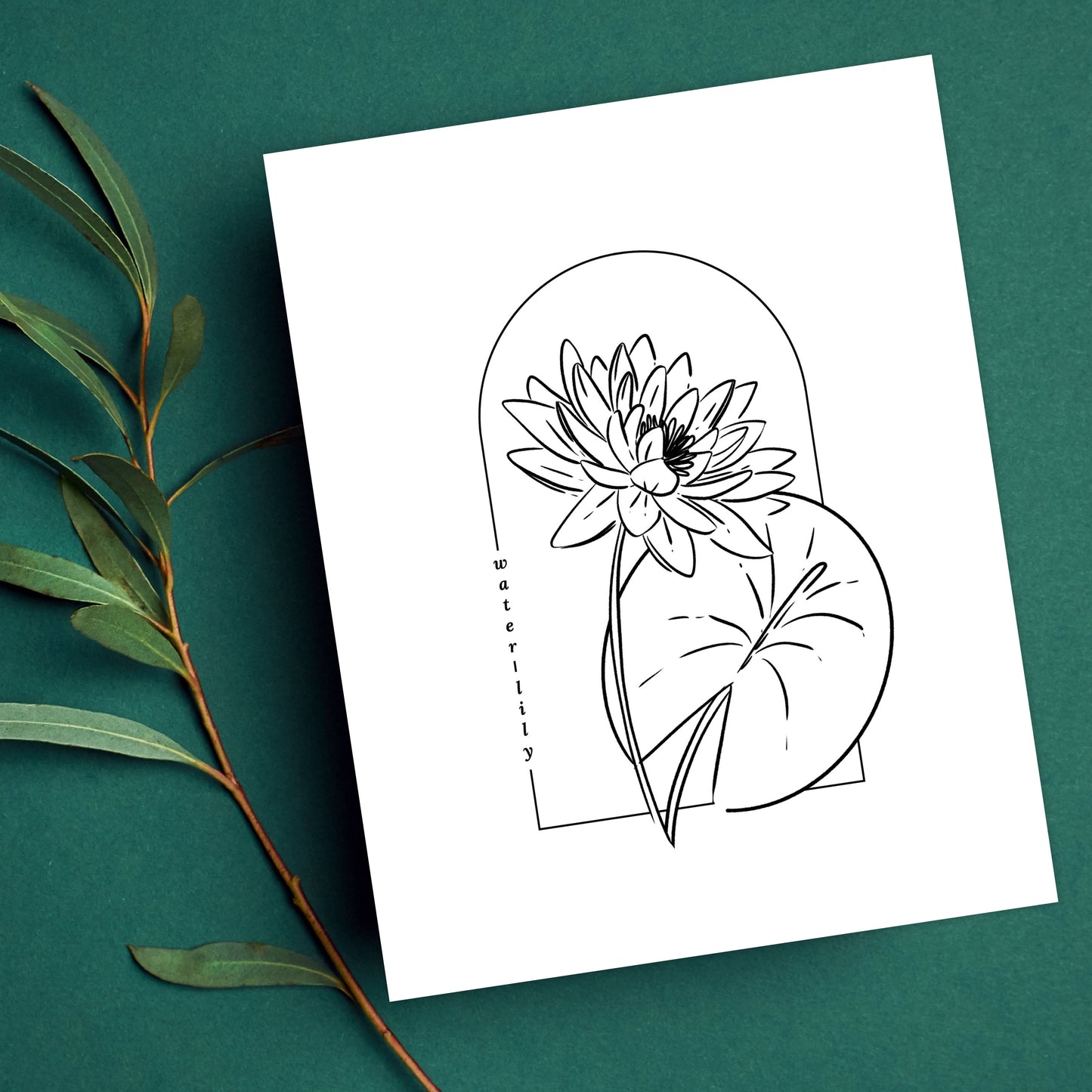 Water Lily Illustration Unframed Art Print | Cottagecore Floral Wall Décor Garden Inspired Gift