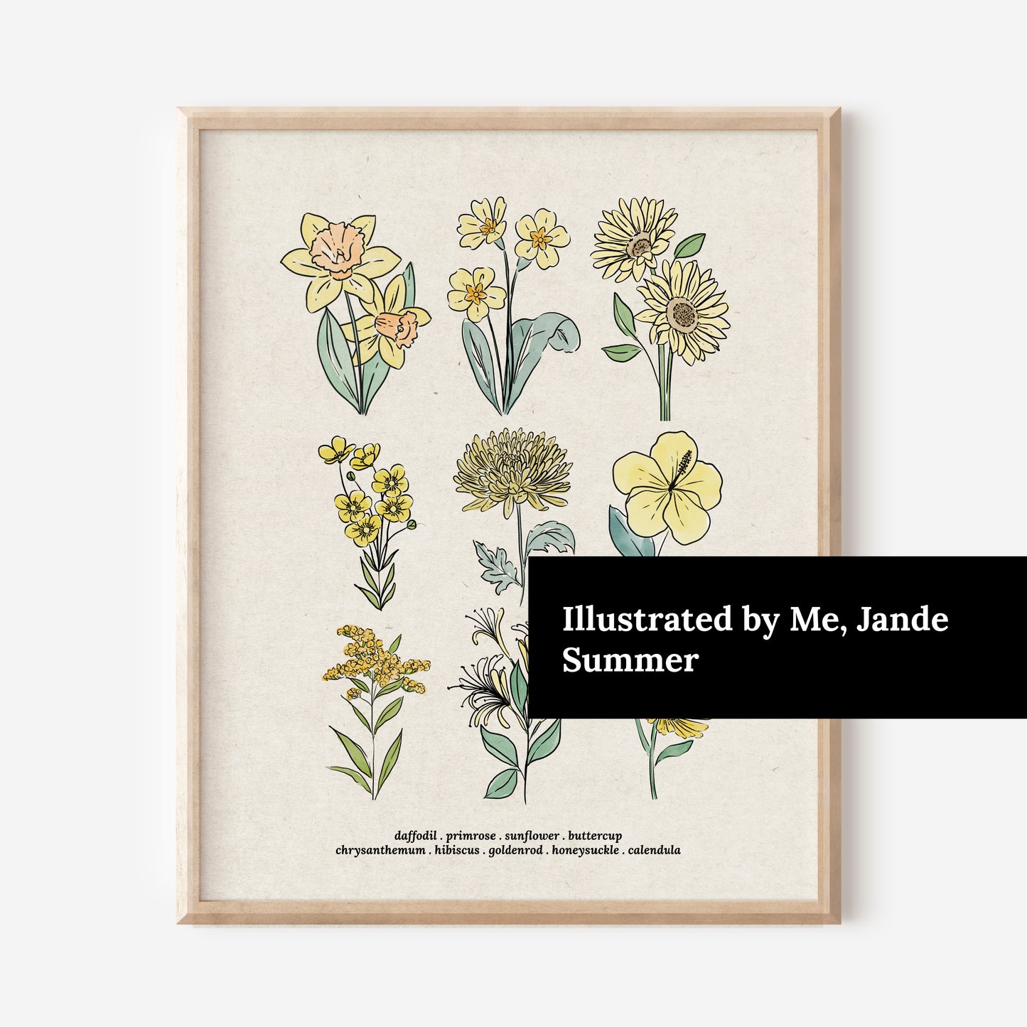 6 Flower Charts Unframed Art Prints | Colorful Antique Style | Yellow Orange Pink Red Purple Blue Floral | Garden Inspired Art