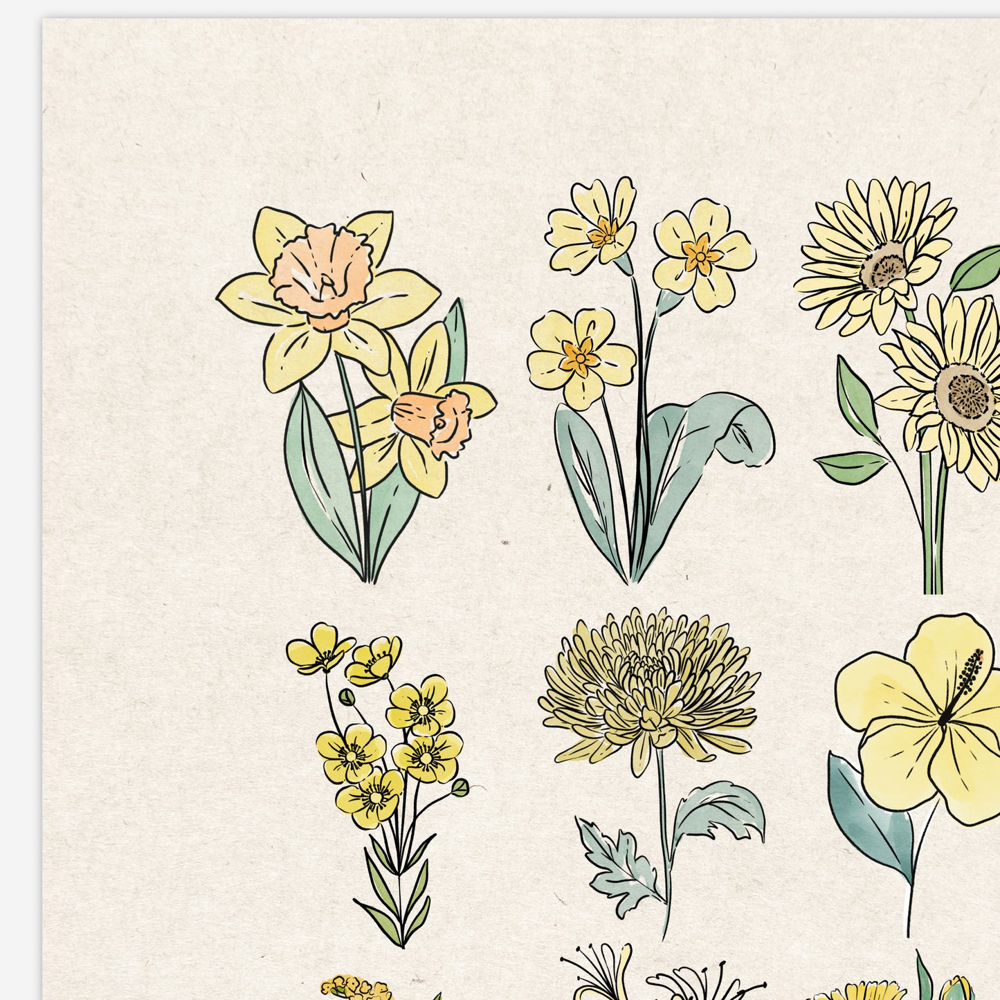 6 Flower Charts Unframed Art Prints | Colorful Antique Style | Yellow Orange Pink Red Purple Blue Floral | Garden Inspired Art