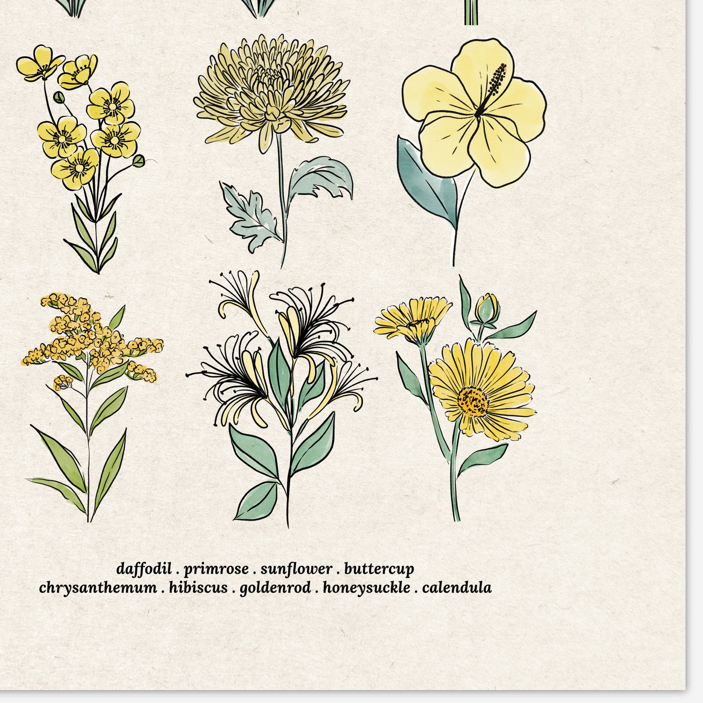 6 Flower Charts Unframed Art Prints | Colorful Antique Style | Yellow Orange Pink Red Purple Blue Floral | Garden Inspired Art