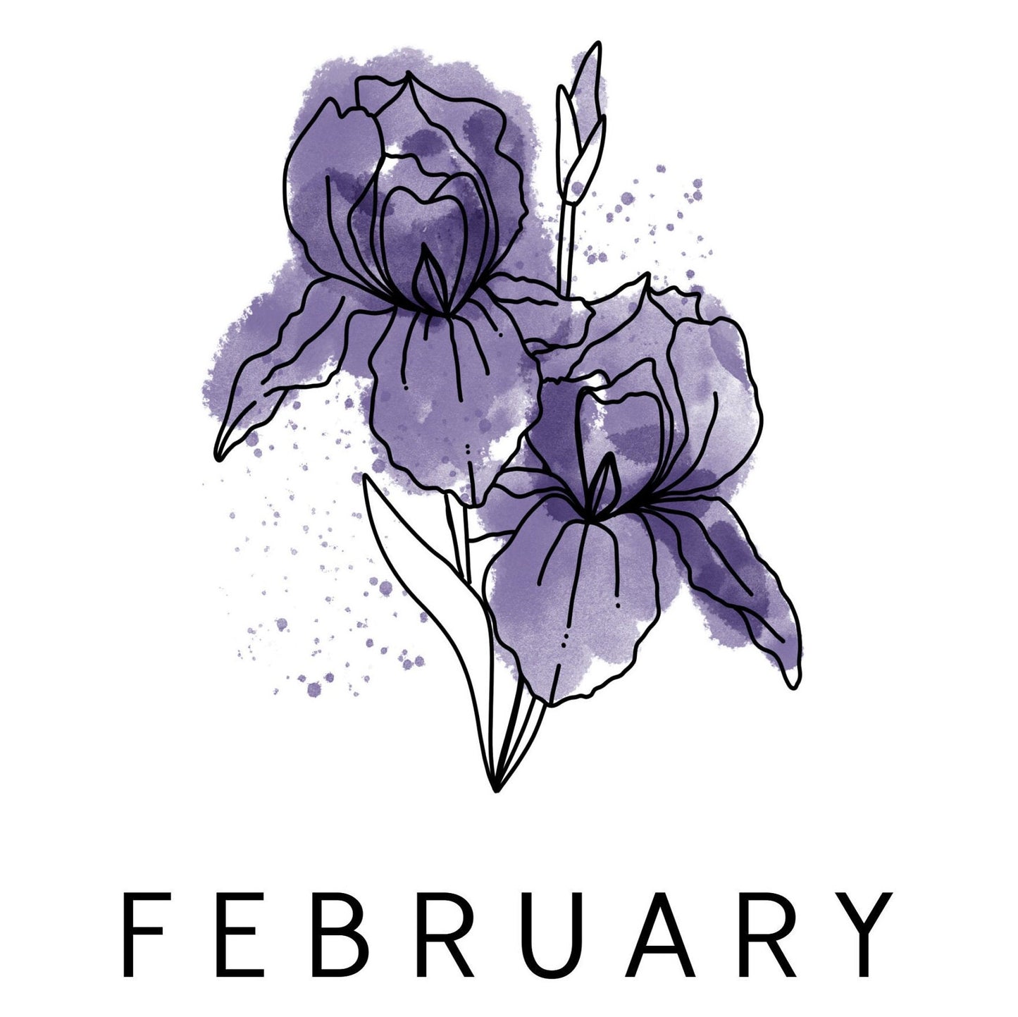 February Birth Flower Iris | Personalized Name Watercolor Floral Unframed Art Print | Birthday Gift
