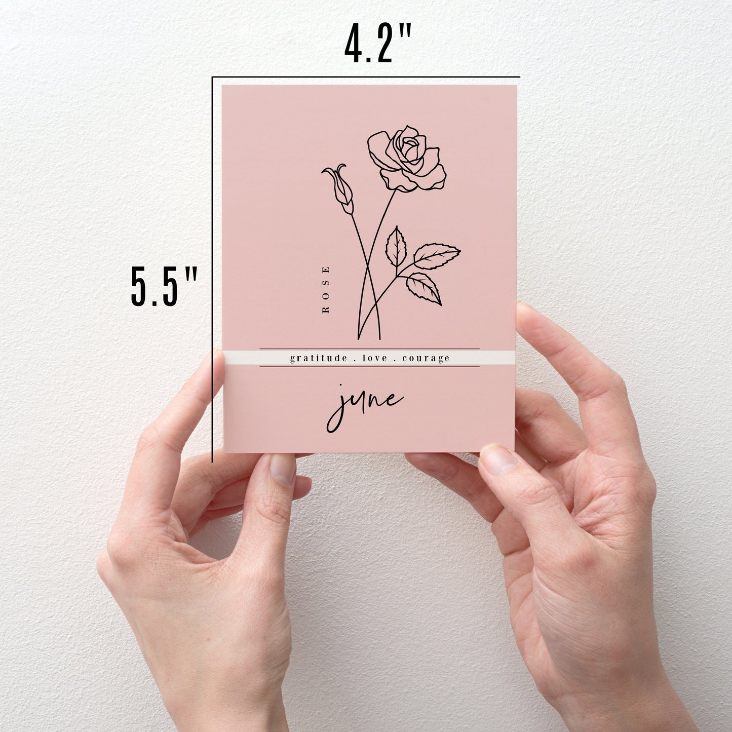 12 Month Birth Flower Notecards + Envelopes | Full Year Birthday Postcards | Gift Note Card Decor Mini Prints