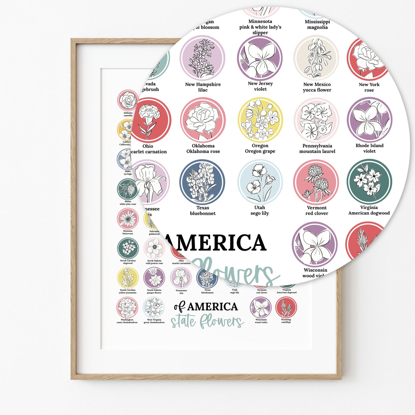 US State Flower Colorful Chart Printable | United States of America 50 States