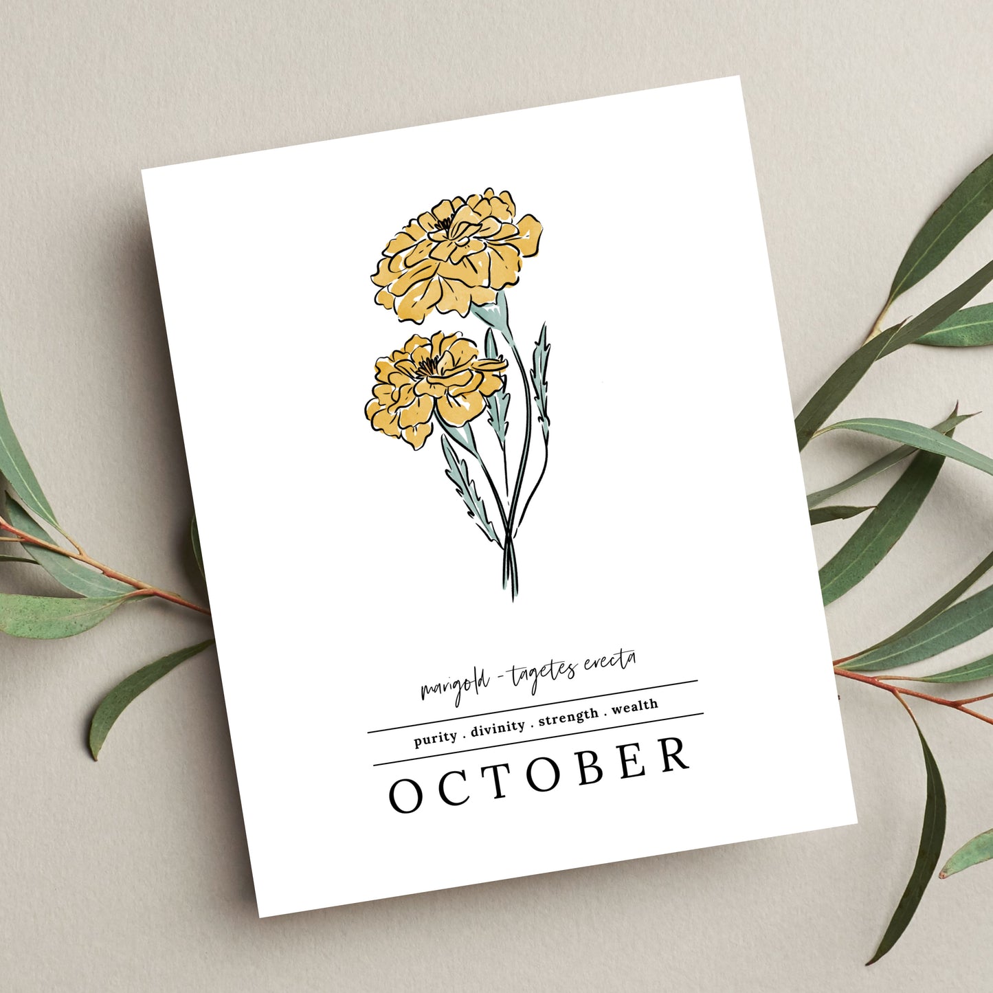 October Marigold Birth Flower Unframed Art Print | Illustrated Floral Art