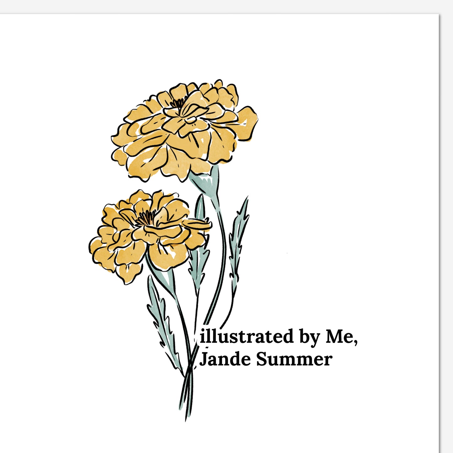 October Marigold Birth Flower Unframed Art Print | Illustrated Floral Art
