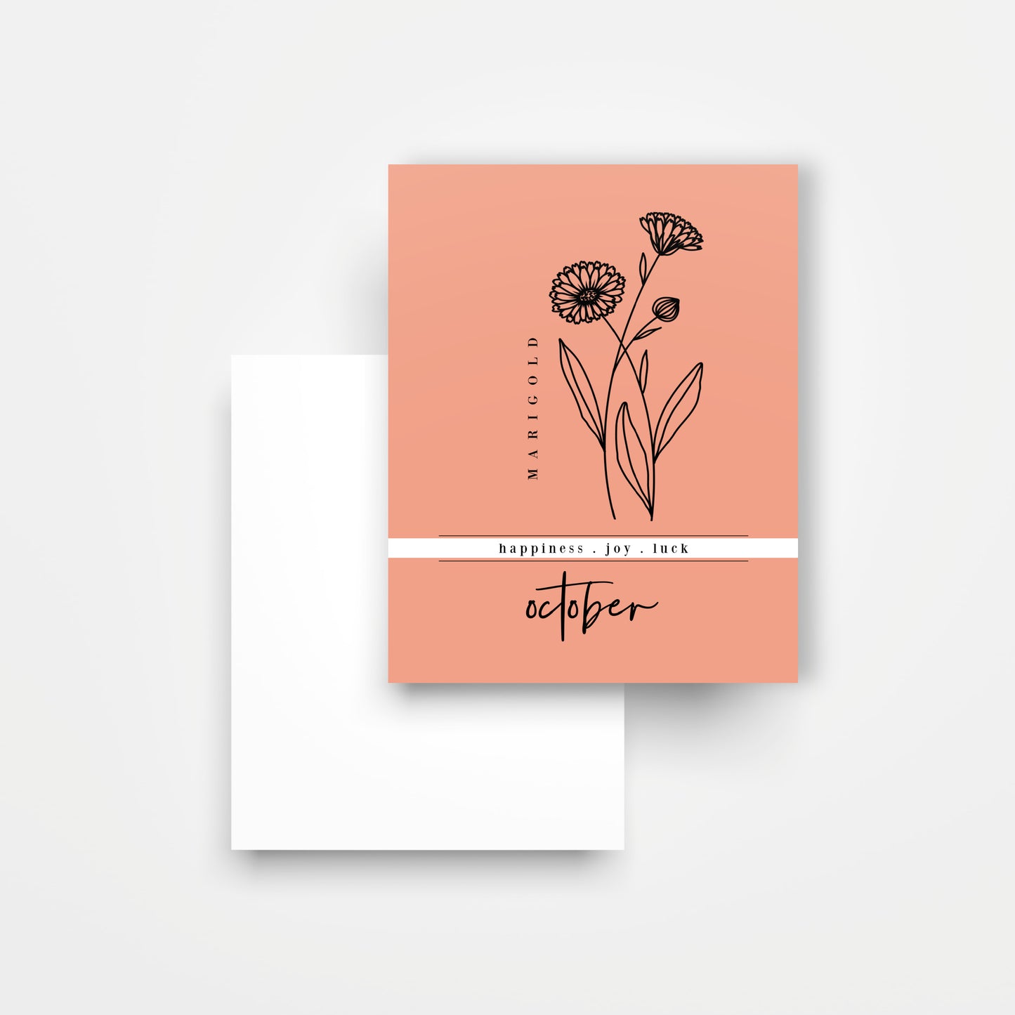 12 Month Birth Flower Notecards + Envelopes | Full Year Birthday Postcards | Gift Note Card Decor Mini Prints