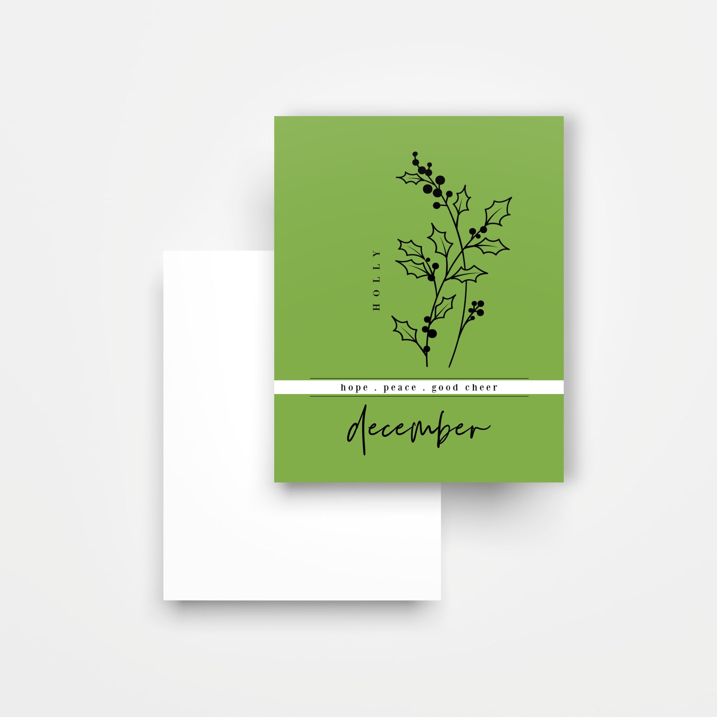 12 Month Birth Flower Notecards + Envelopes | Full Year Birthday Postcards | Gift Note Card Decor Mini Prints