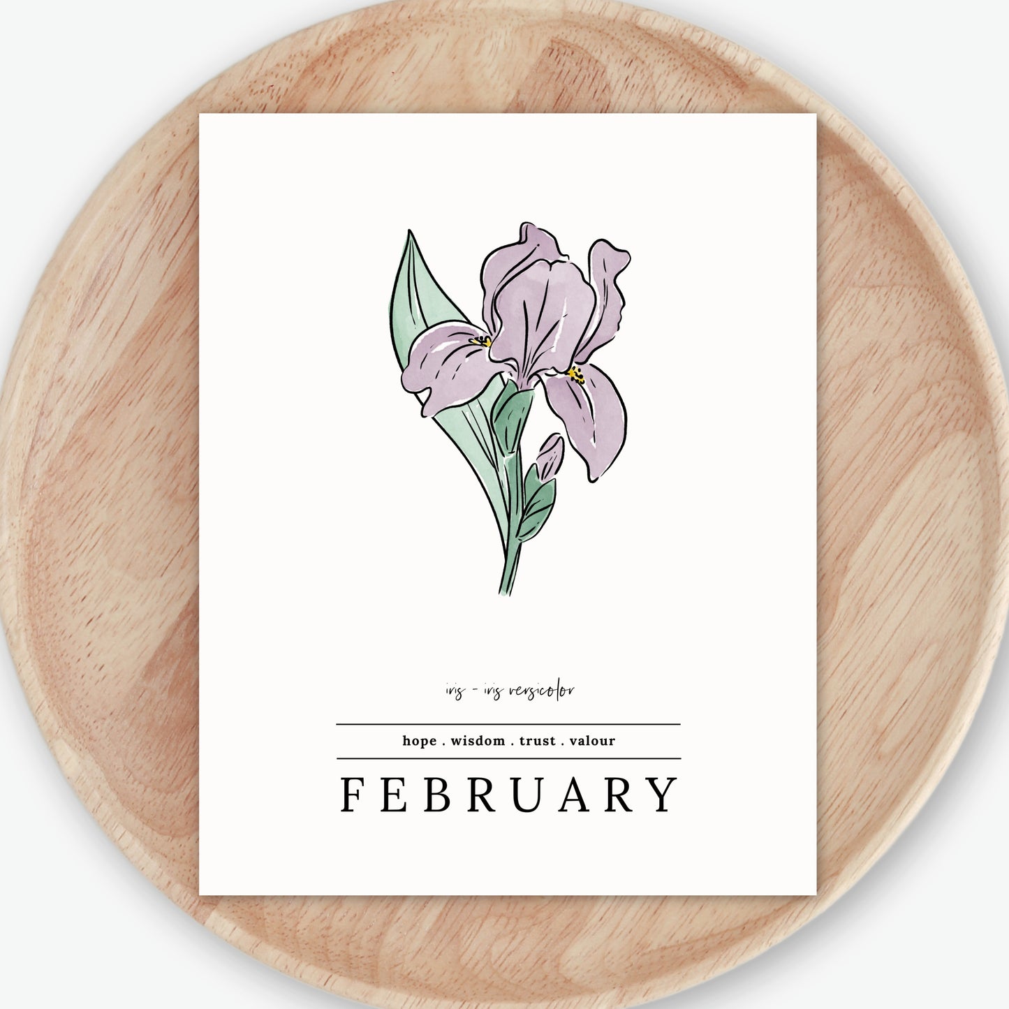 February Iris Birth Flower Unframed Art Print | Illustrated Floral Art