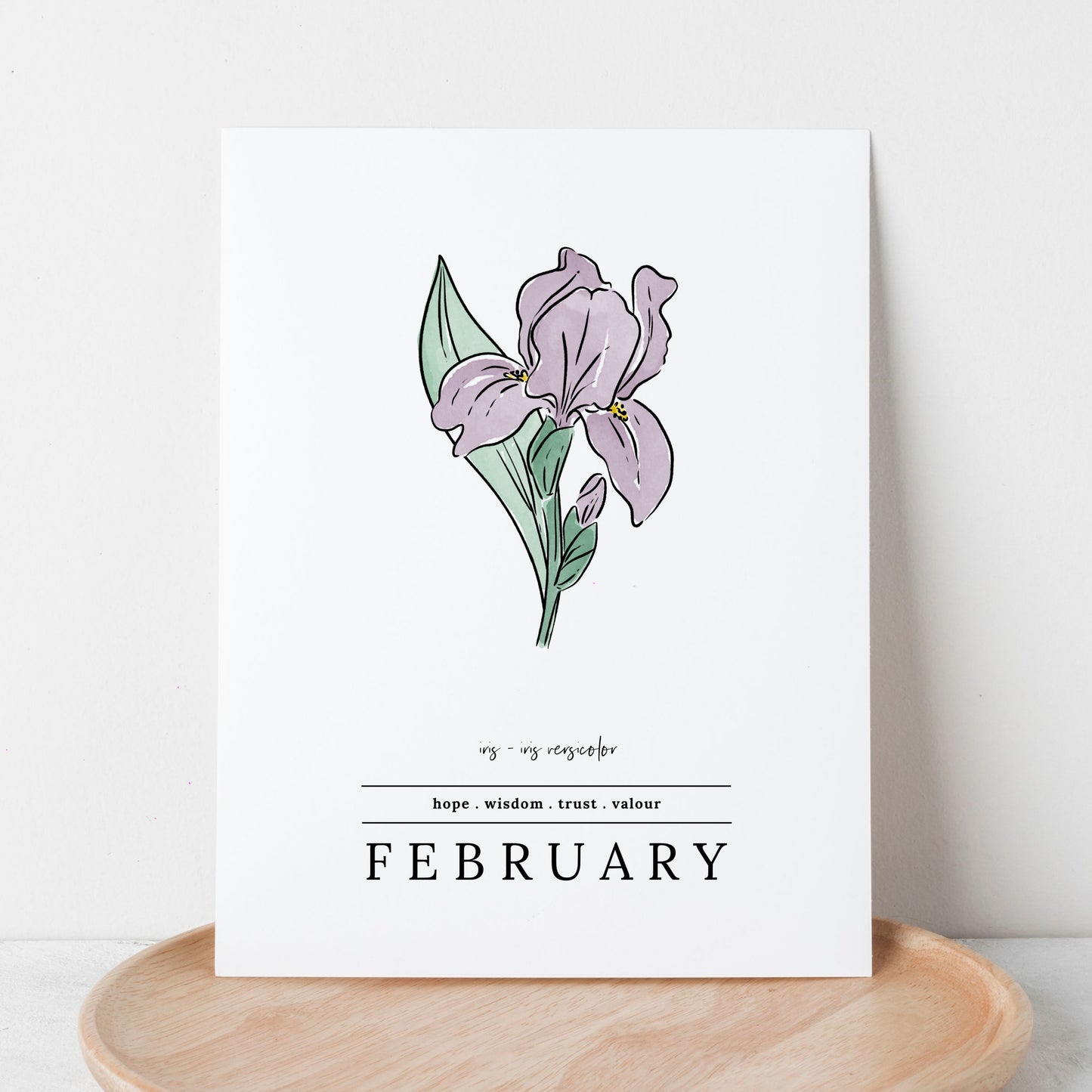 February Iris Birth Flower Unframed Art Print | Illustrated Floral Art