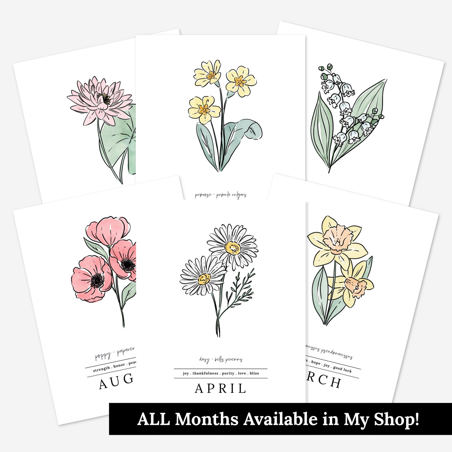 February Iris Birth Flower Unframed Art Print | Illustrated Floral Art