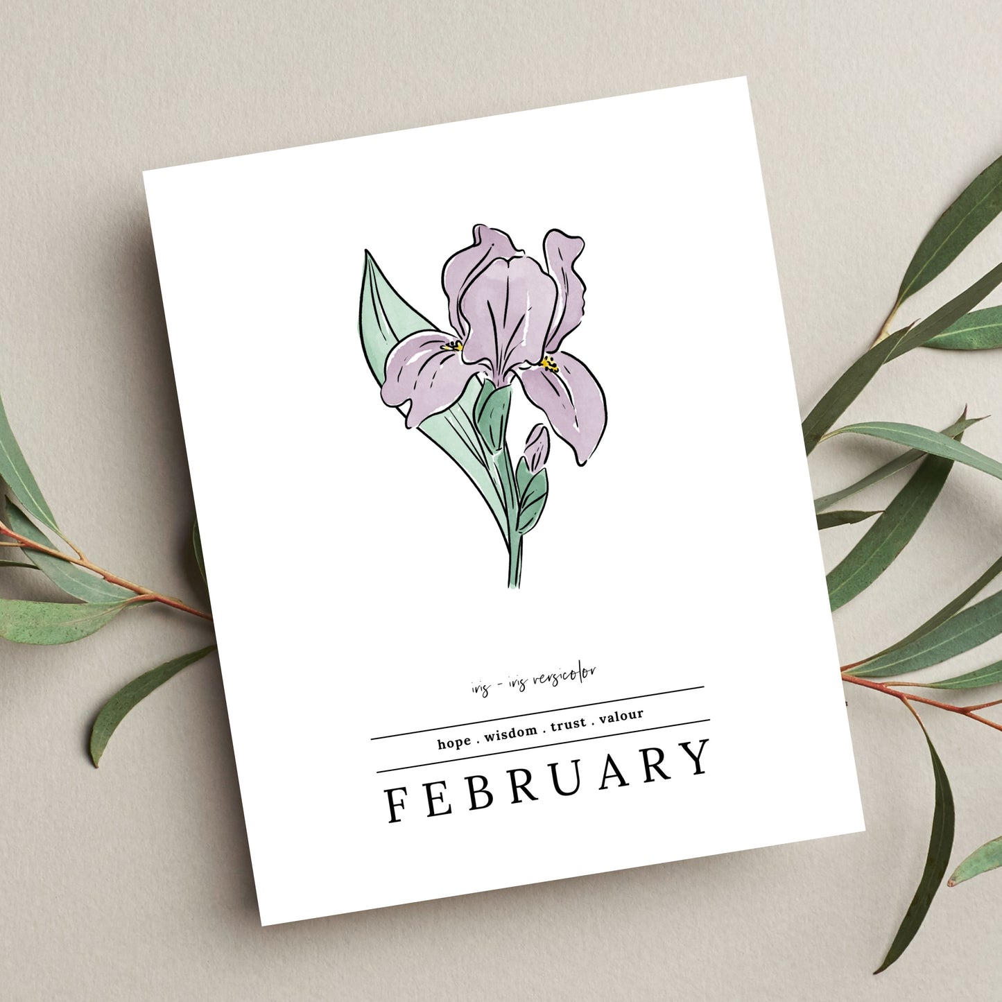 February Iris Birth Flower Unframed Art Print | Illustrated Floral Art