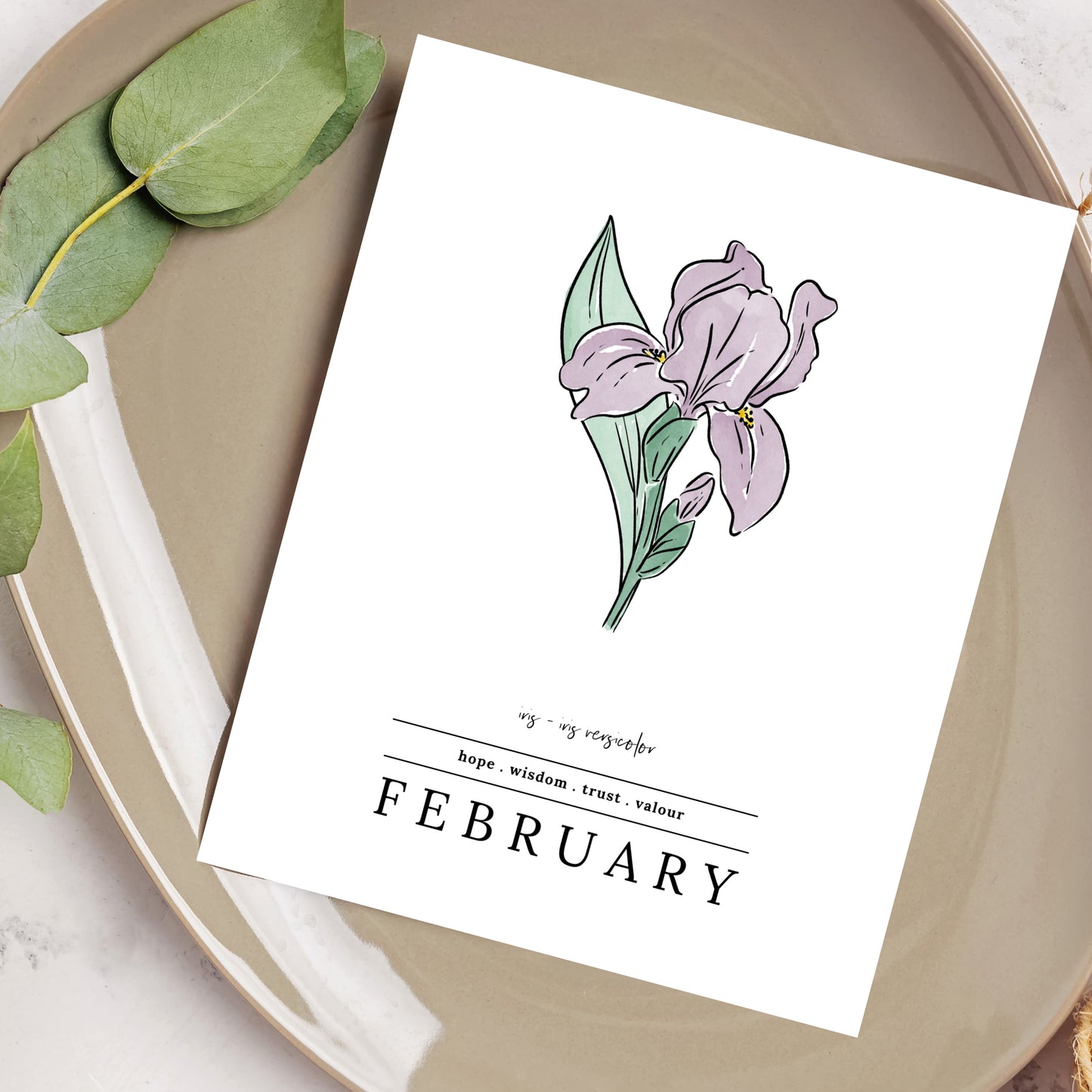 February Iris Birth Flower Unframed Art Print | Illustrated Floral Art