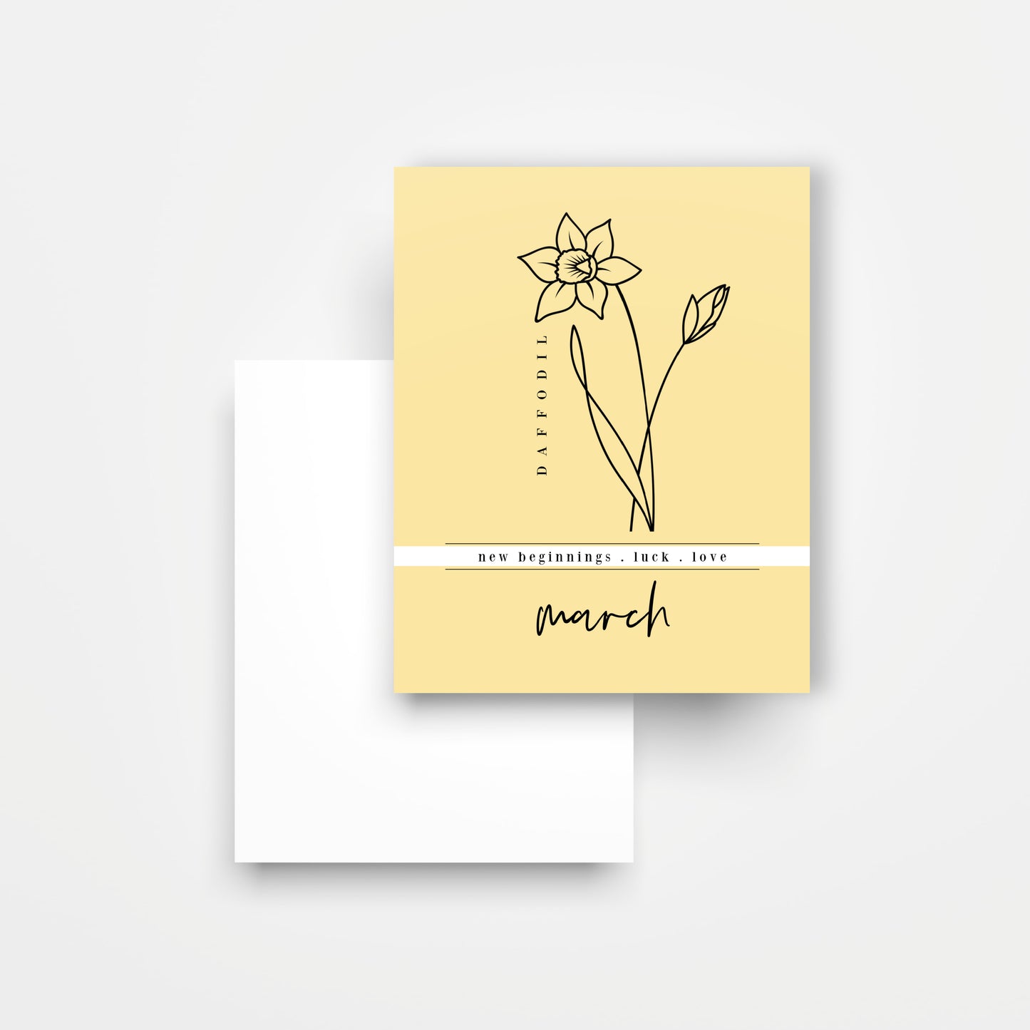 12 Month Birth Flower Notecards + Envelopes | Full Year Birthday Postcards | Gift Note Card Decor Mini Prints