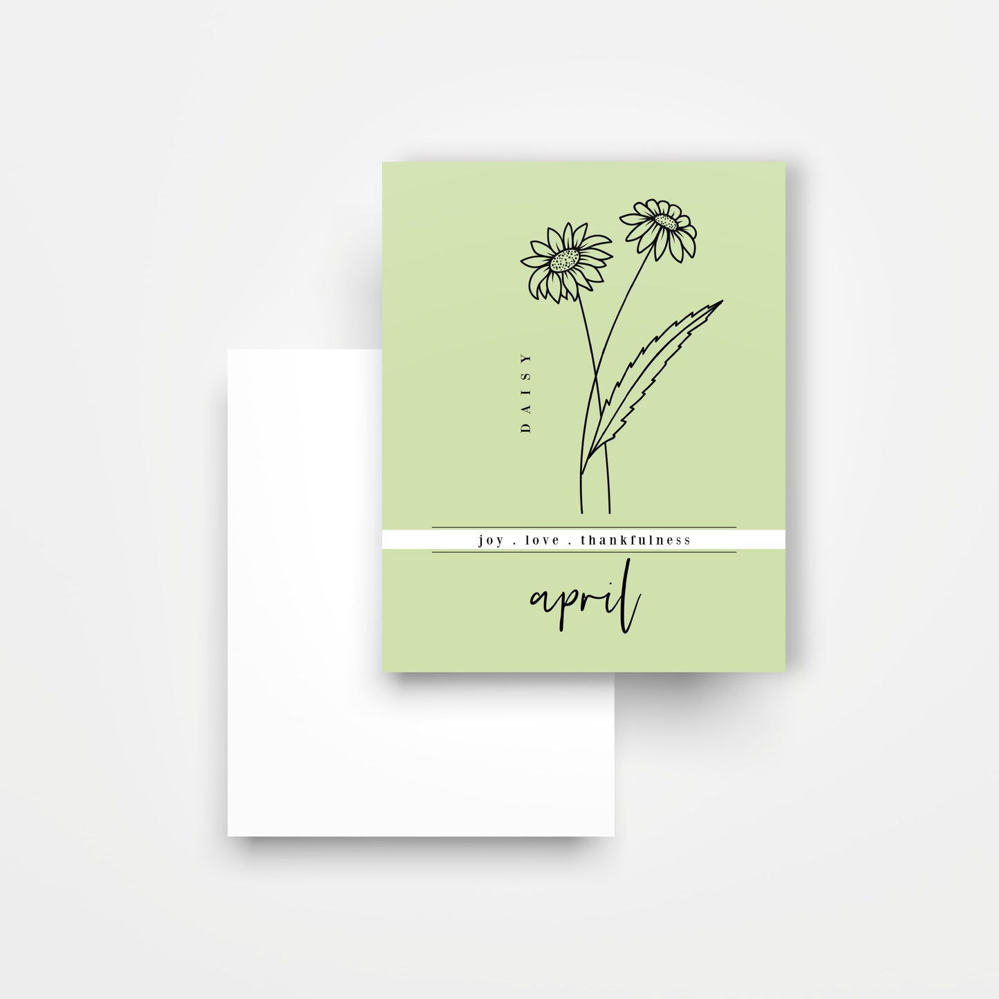 12 Month Birth Flower Notecards + Envelopes | Full Year Birthday Postcards | Gift Note Card Decor Mini Prints