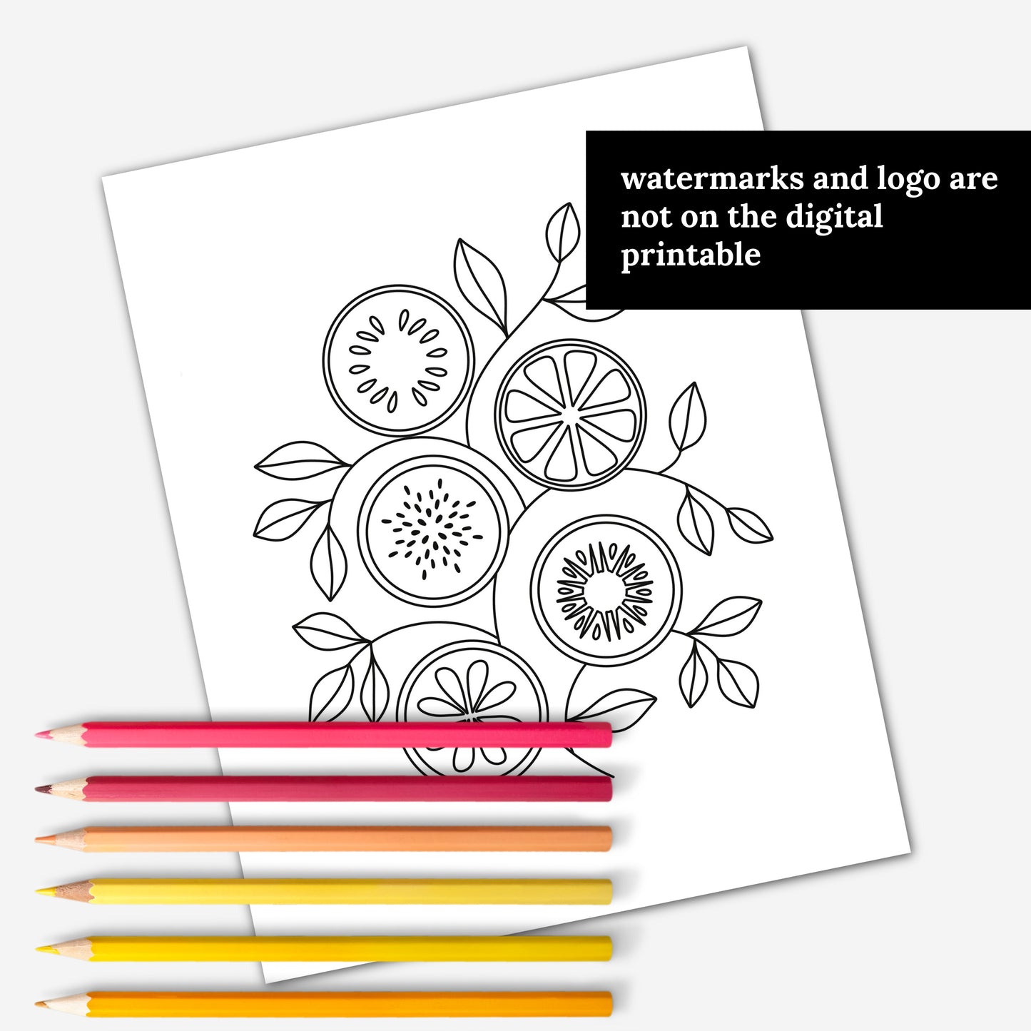 50 Pk Summertime Printable Coloring Pages | Hand Illustrated Ocean Tropical Flower Fishing Travel Summer Foods Garden Theme