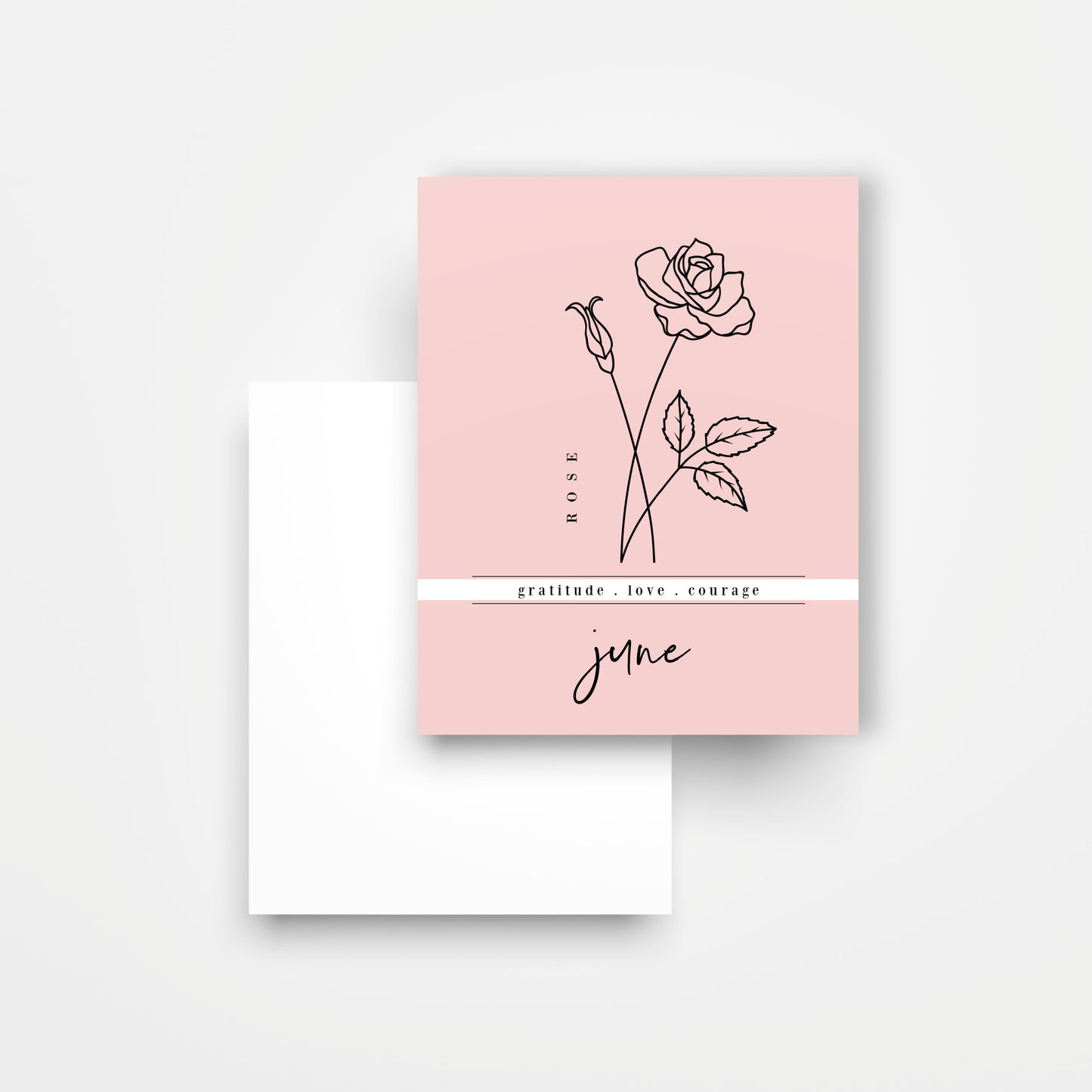 12 Month Birth Flower Notecards + Envelopes | Full Year Birthday Postcards | Gift Note Card Decor Mini Prints