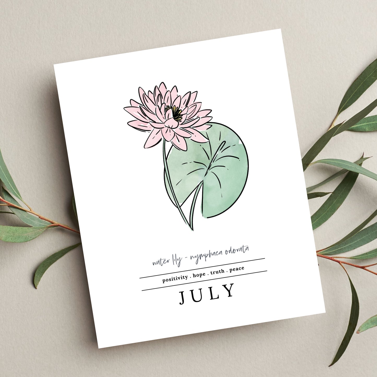 July Water Lily Birth Flower Unframed Art Print | Illustrated Floral Art