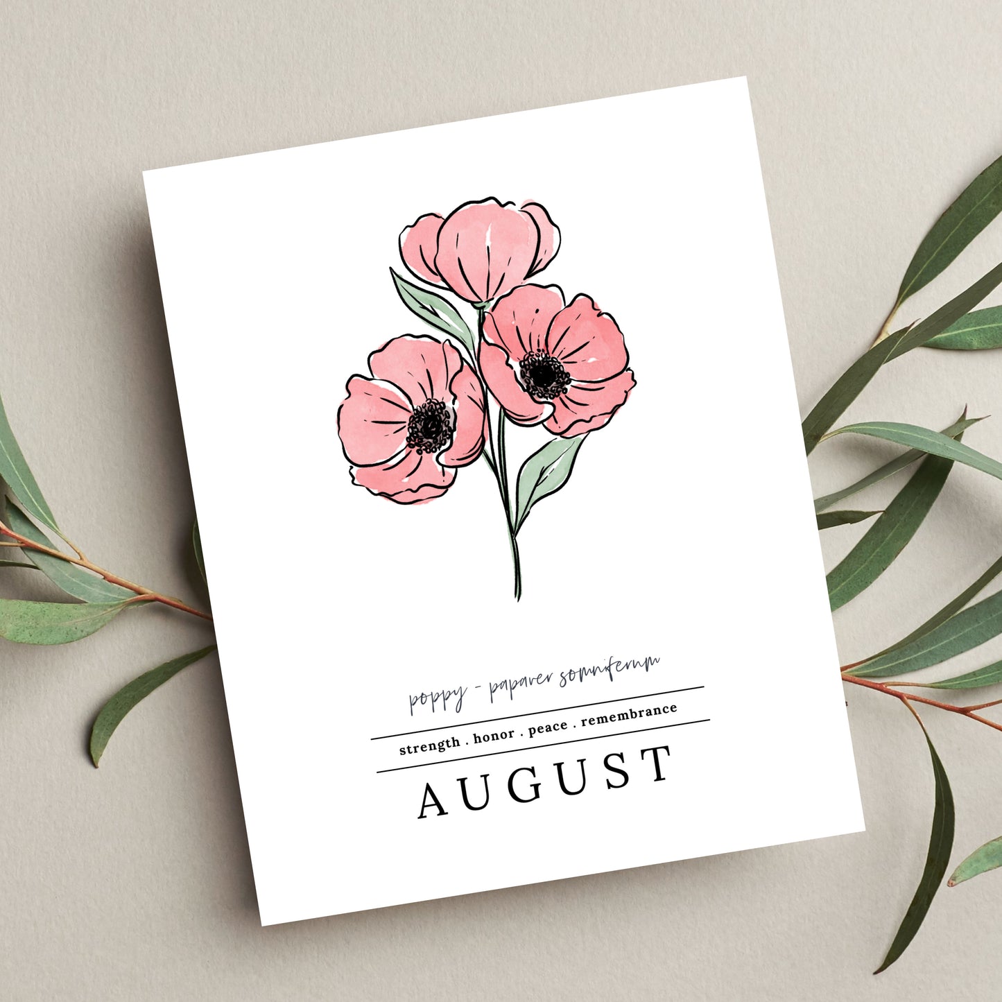 August Poppy Birth Flower Unframed Art Print | Illustrated Floral Art