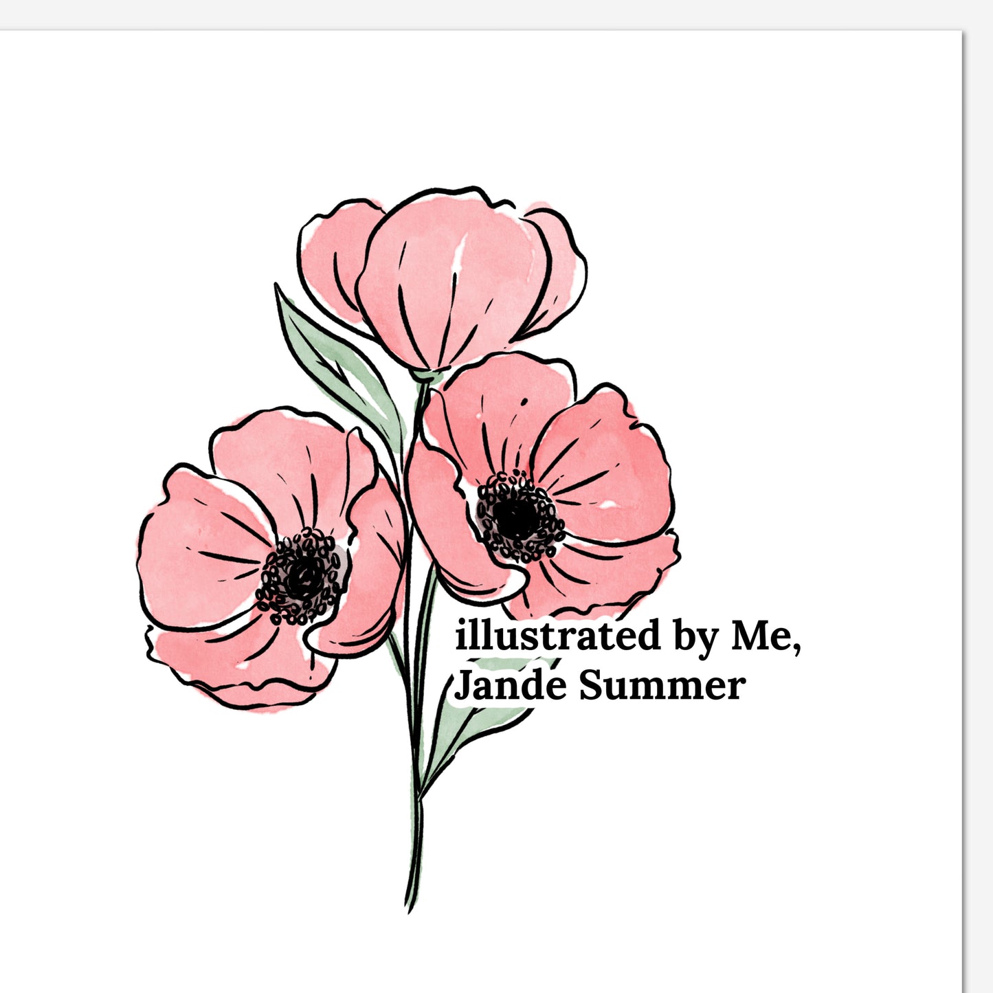 August Poppy Birth Flower Unframed Art Print | Illustrated Floral Art