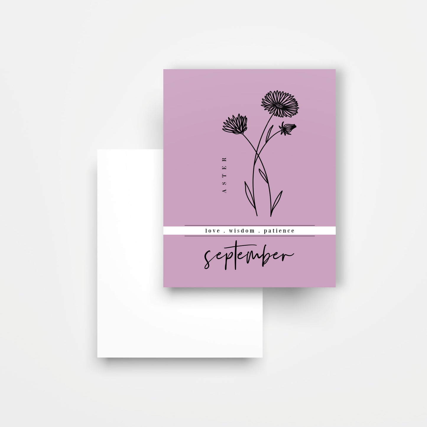 12 Month Birth Flower Notecards + Envelopes | Full Year Birthday Postcards | Gift Note Card Decor Mini Prints