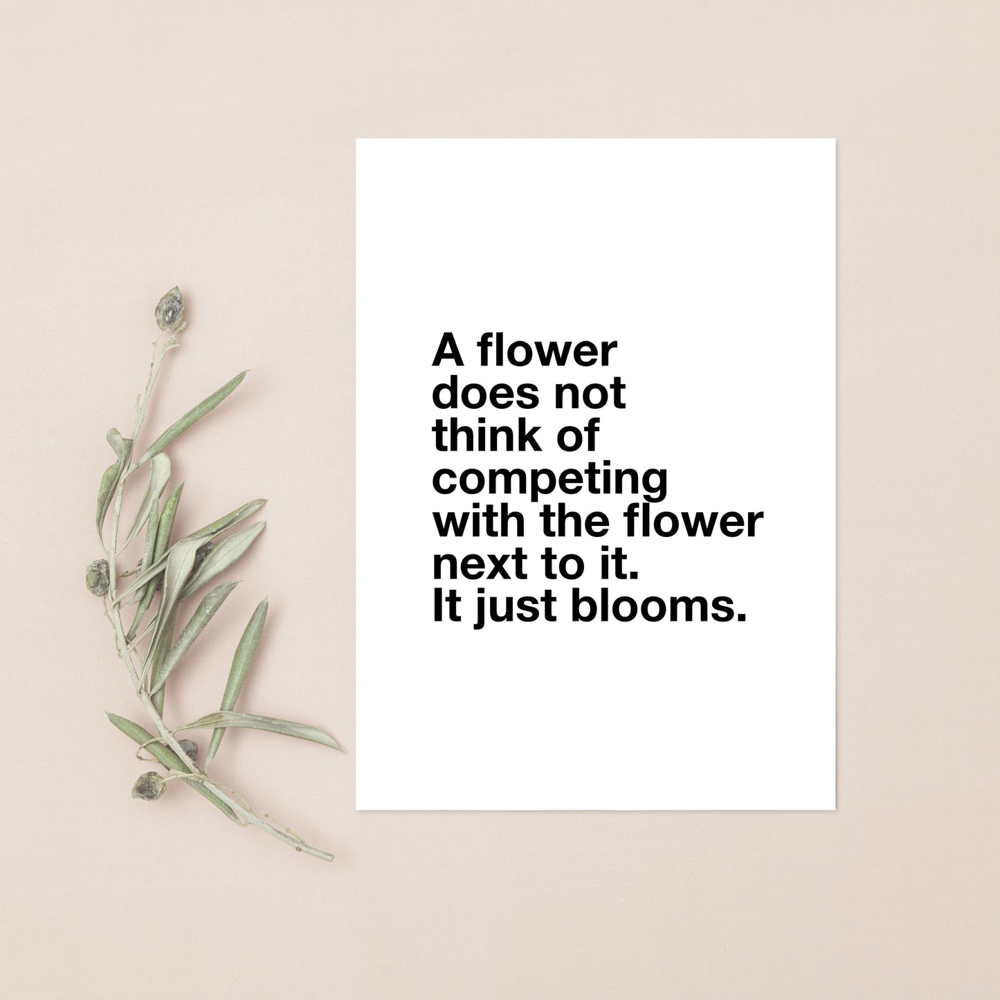 A Flower Does Not Think of Competing with the Flower Next to It It Just Blooms Positive Prints Wall Decor for Kids Teens Office Motivational Art