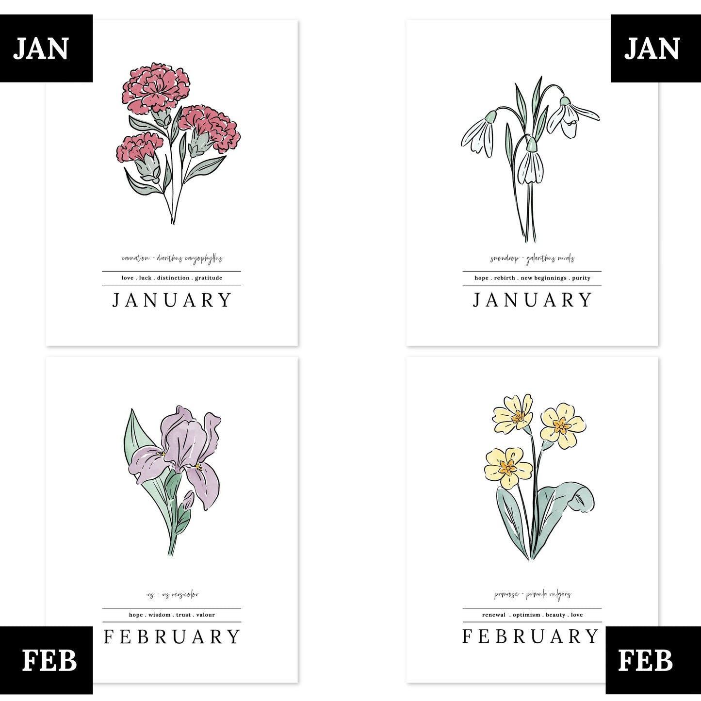 Pick A Birth Month Flower Unframed Art Print | Floral Illustration Birthday Gift