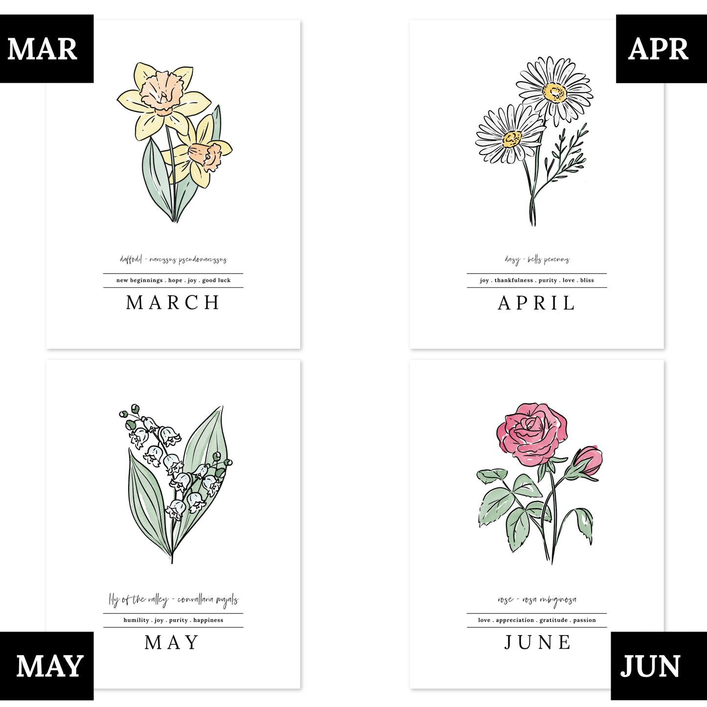 Pick A Birth Month Flower Unframed Art Print | Floral Illustration Birthday Gift