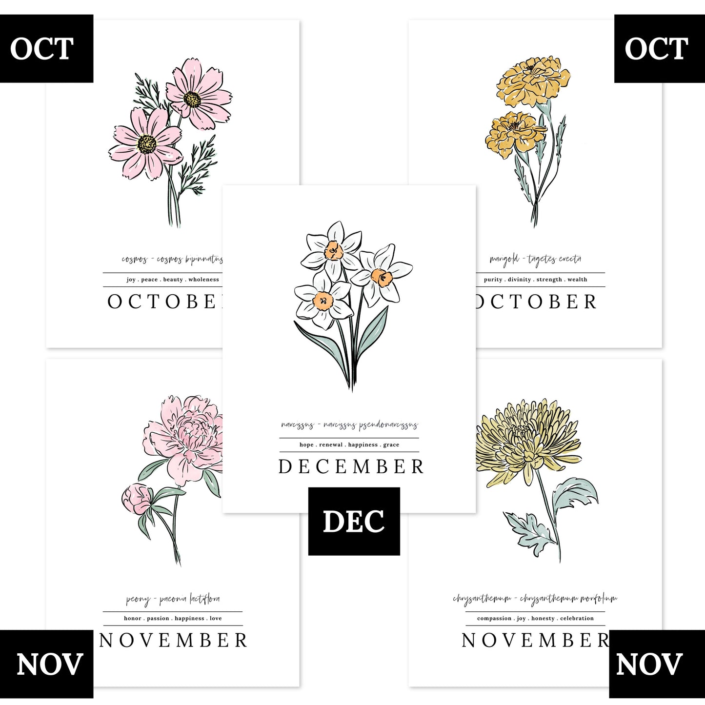 Pick A Birth Month Flower Unframed Art Print | Floral Illustration Birthday Gift