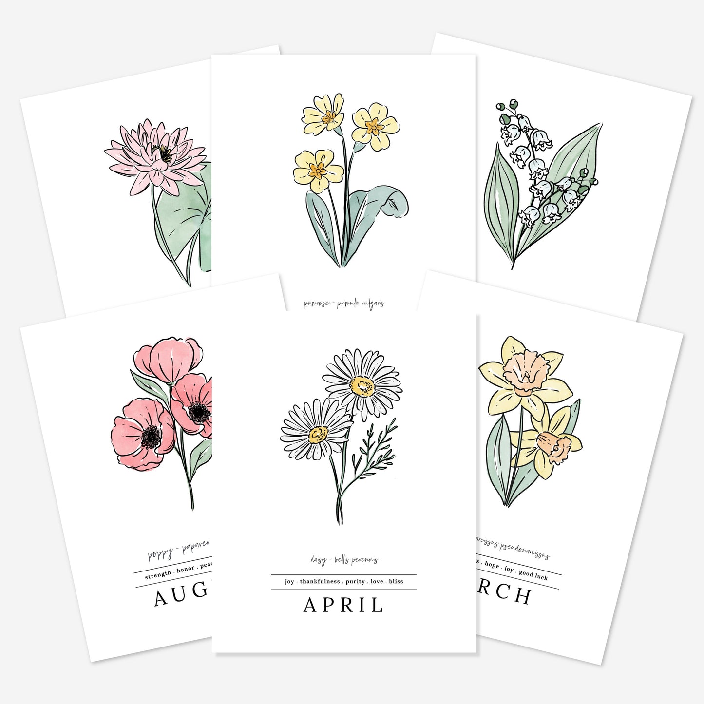 Pick A Birth Month Flower Unframed Art Print | Floral Illustration Birthday Gift