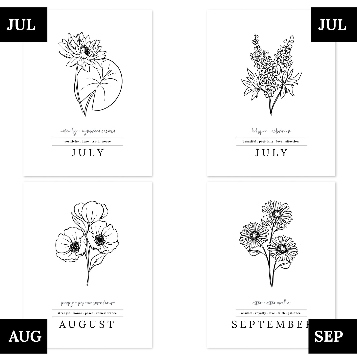 Pick A Birth Month Flower Black and White Unframed Art Print | Birth Flower Illustration Simple Floral Art Birthday Gift | Ready to Ship