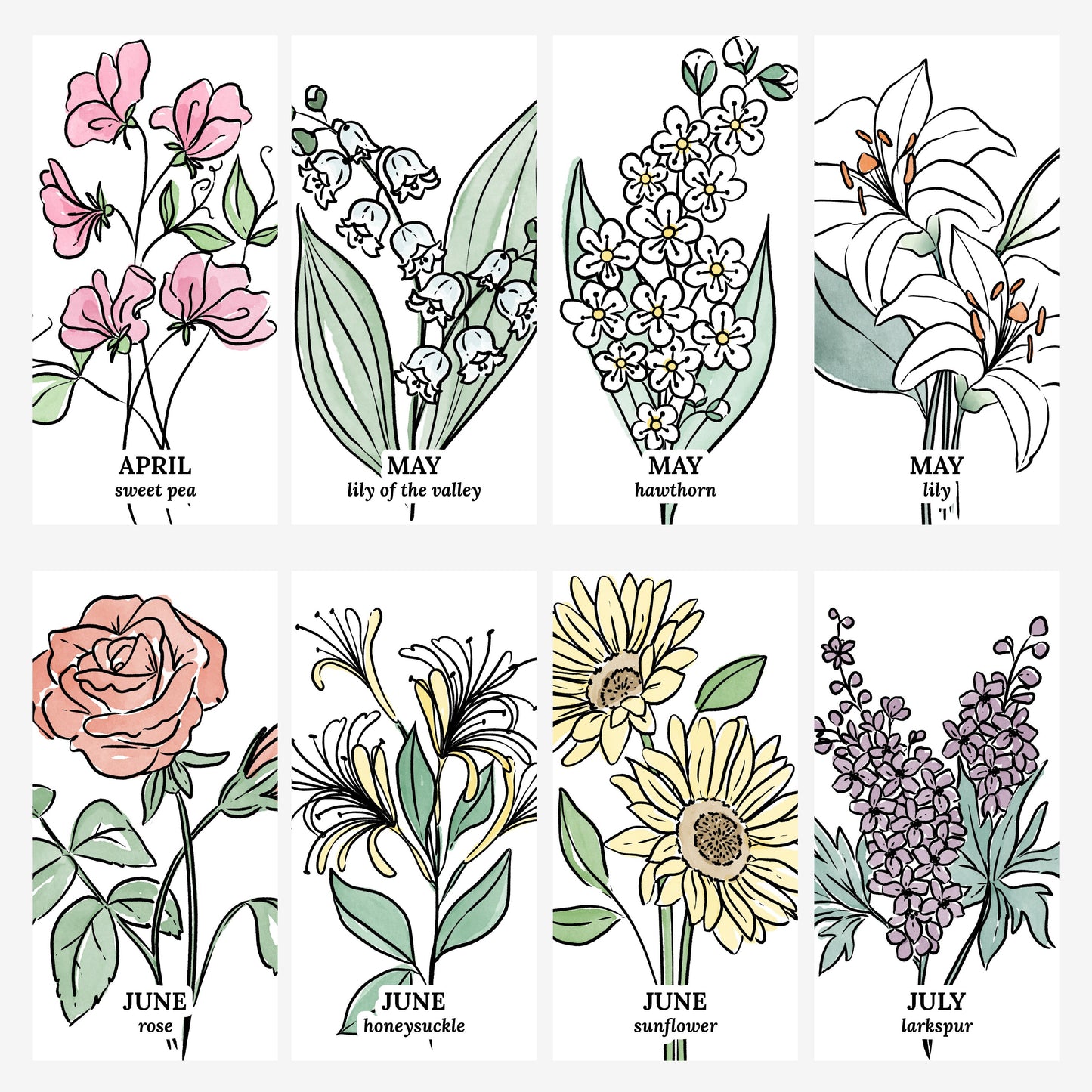 Personalized Birth Flower Family Garden 6 to 24 Names Unframed Art Print | Custom Gift For Grandma | Nature Inspired Gift
