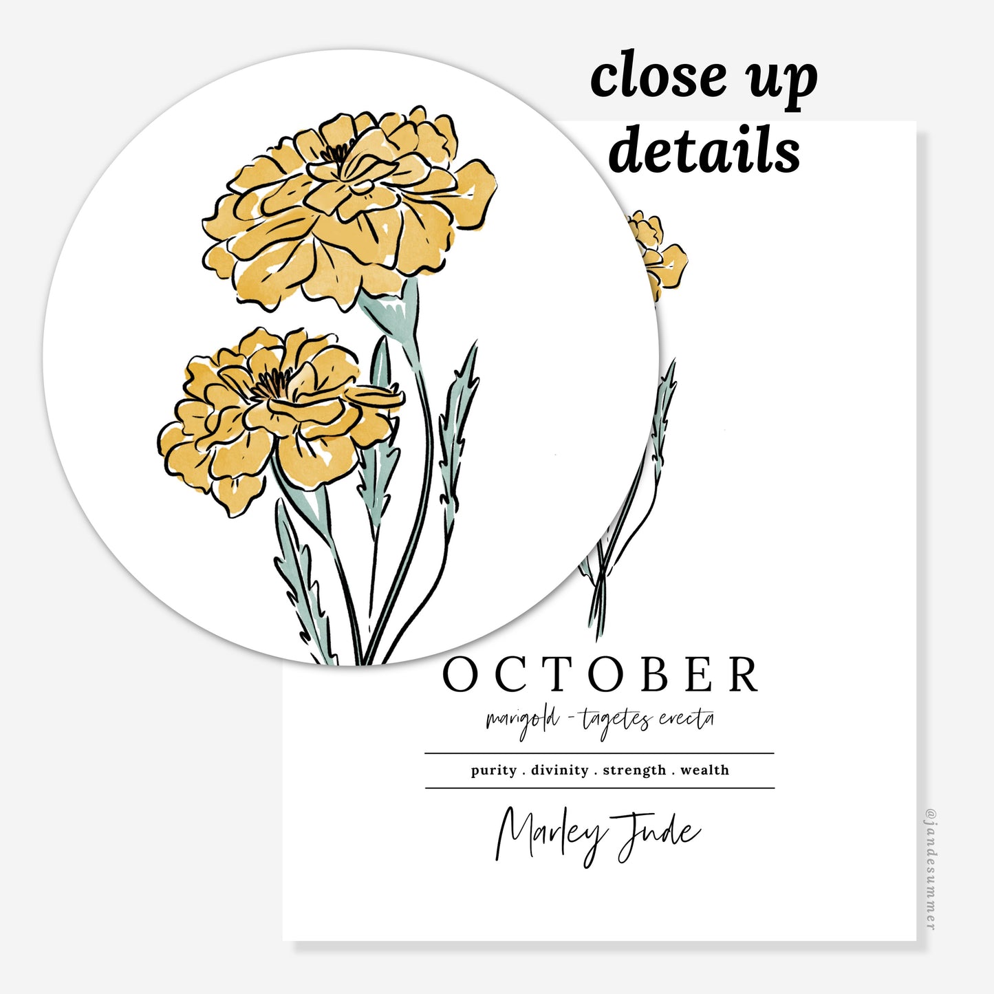 October Marigold Birth Flower Art Print | Personalized Unframed Birthday Floral Illustration