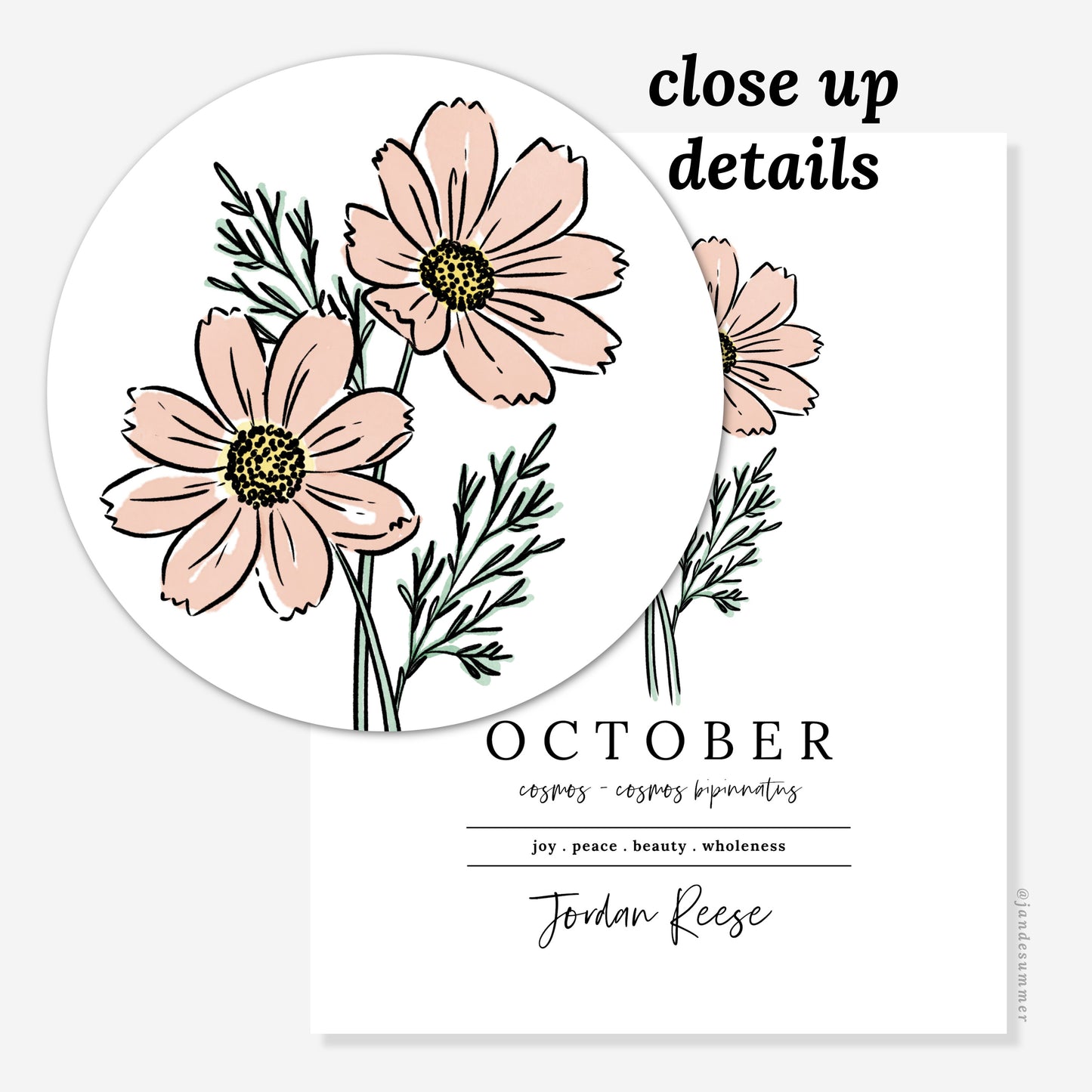 October Cosmos Birth Flower Art Print | Personalized Unframed Birthday Floral Illustration