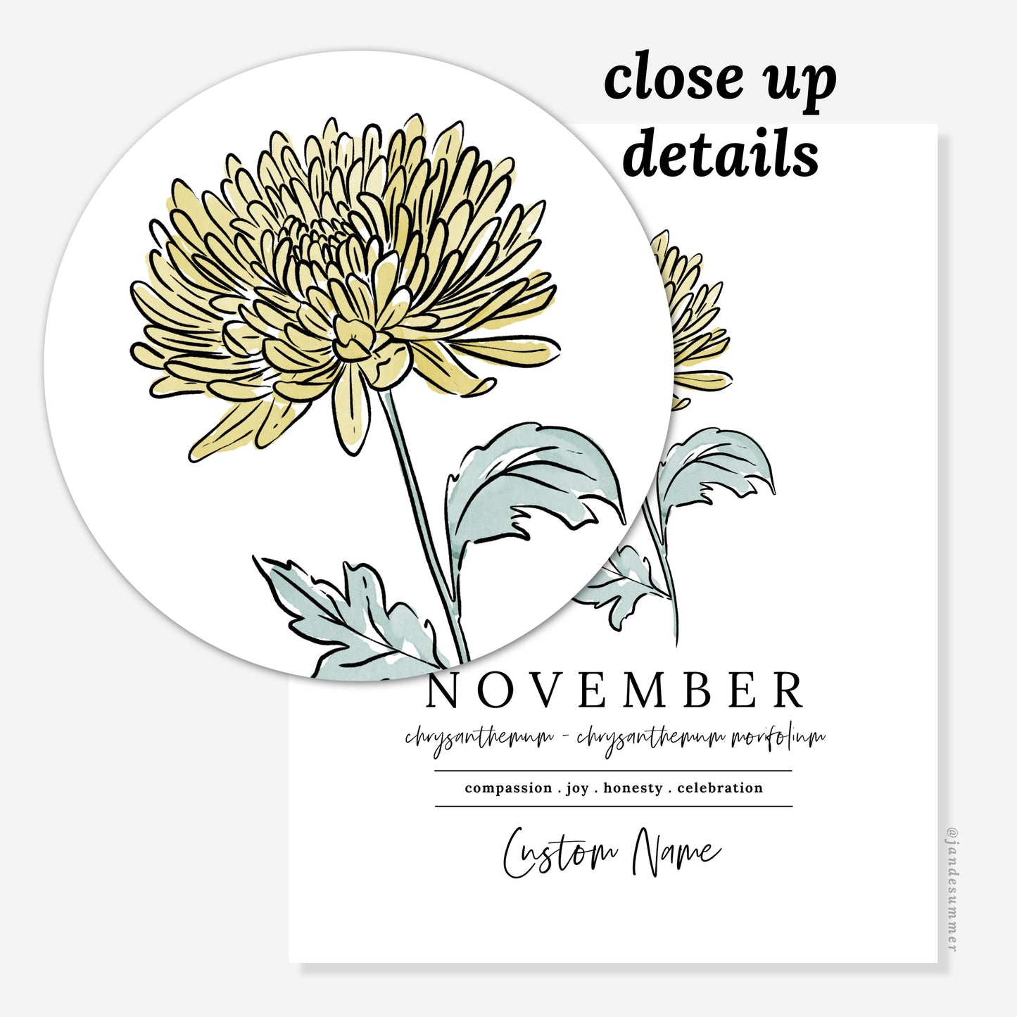 November Chrysanthemum Birth Flower Art Print | Personalized Unframed Birthday Gift | Floral Illustration
