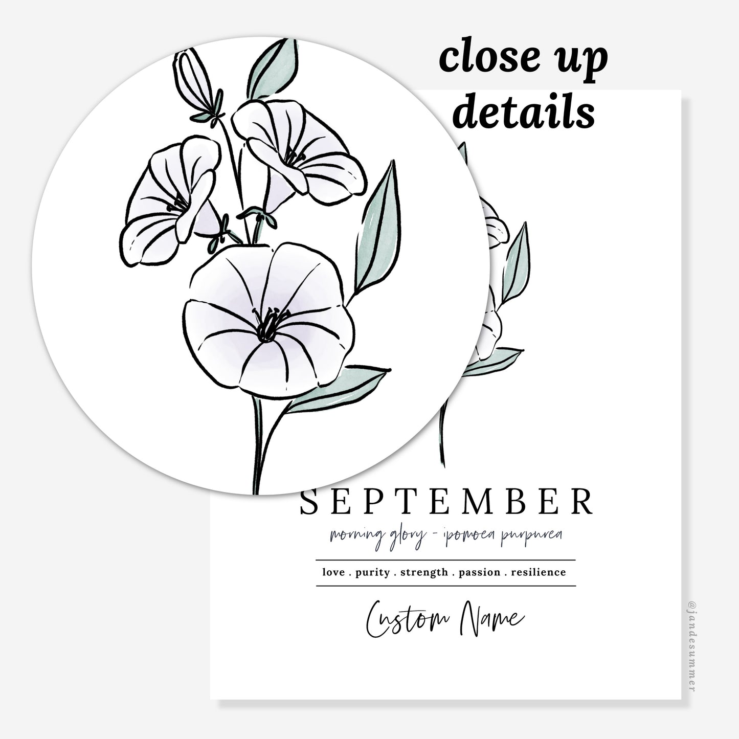 September Morning Glory Birth Flower Art Print | Personalized Unframed Birthday Floral Illustration